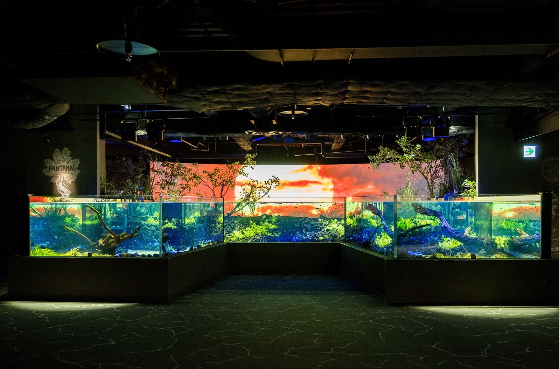 Kawasaki Aquarium Ticket - სურათი 2