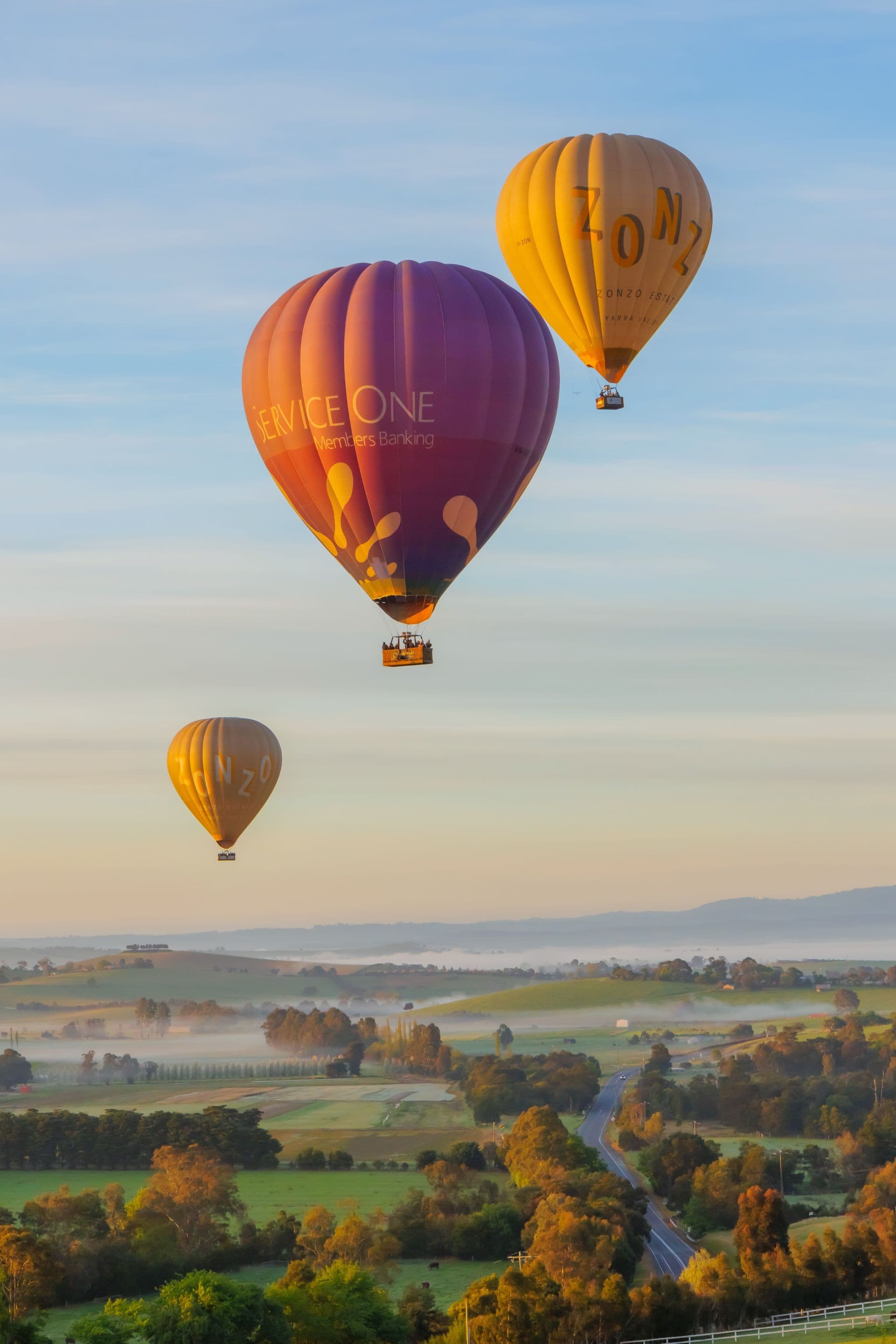 Sunrise Hot Air Balloon Flight over Yarra Valley with Photos - სურათი 9