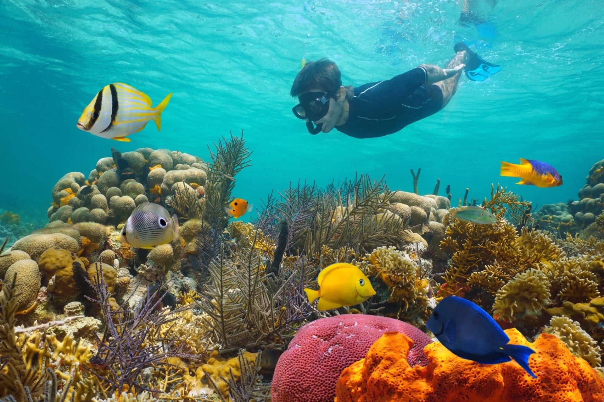 Key West: 3hr Snorkeling Experience with Unlimited Drinks - მთავარი სურათი