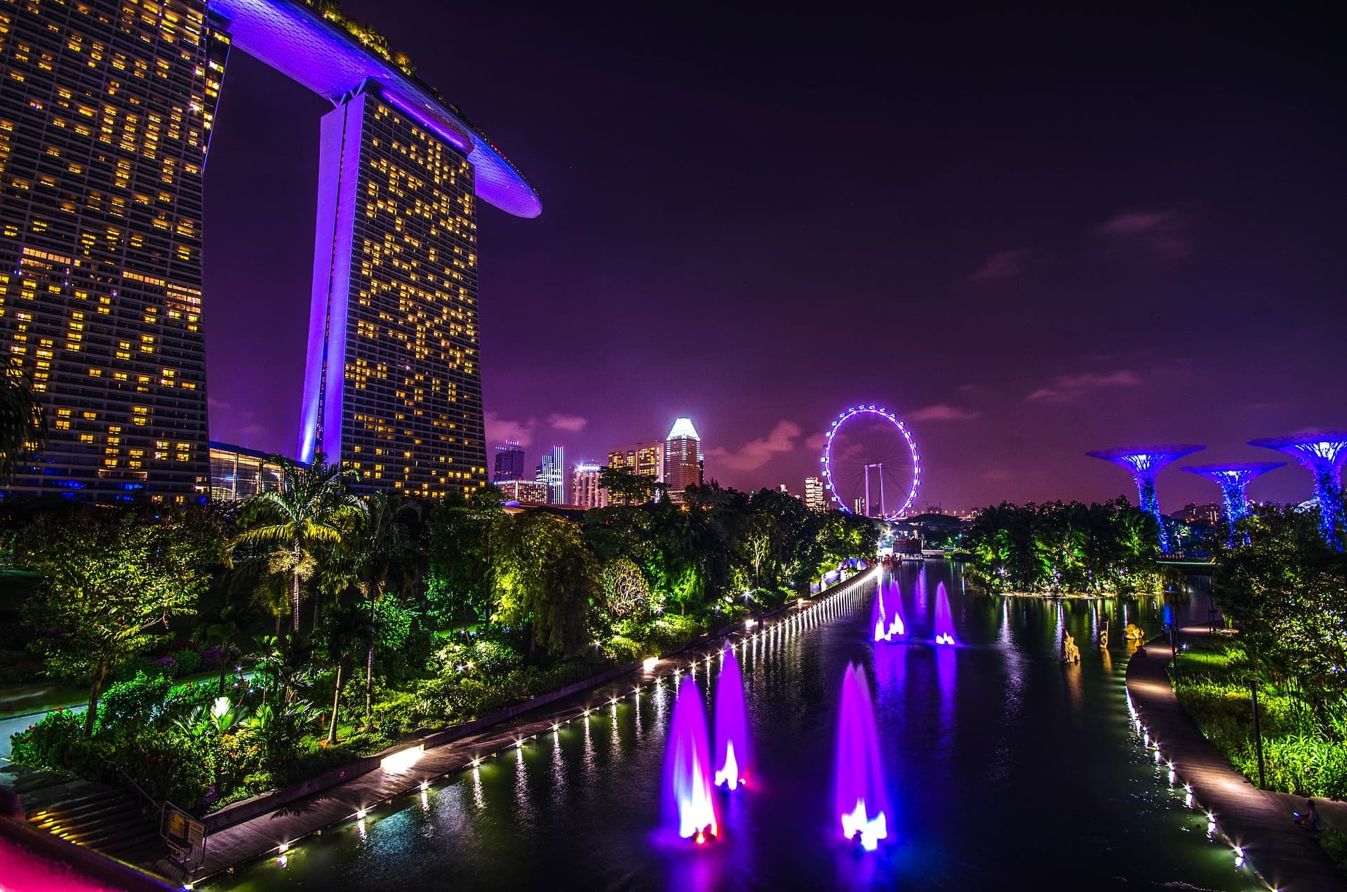 COMBO: Gardens by the Bay + Marina Bay Sands SkyPark Observation Deck Tickets - სურათი 7
