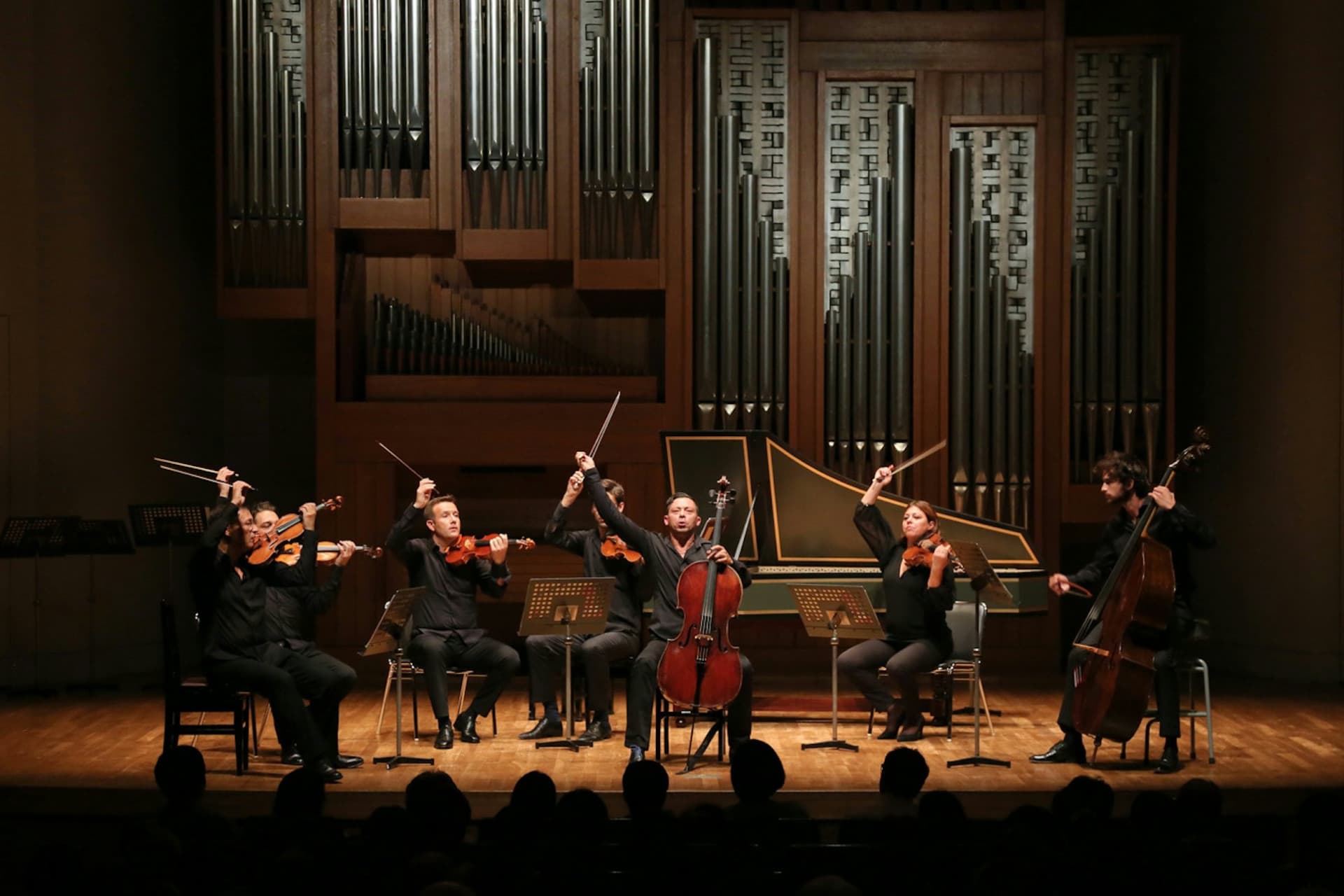 Vivaldi "Four Seasons" Concert Ticket + Music Museum - სურათი 3