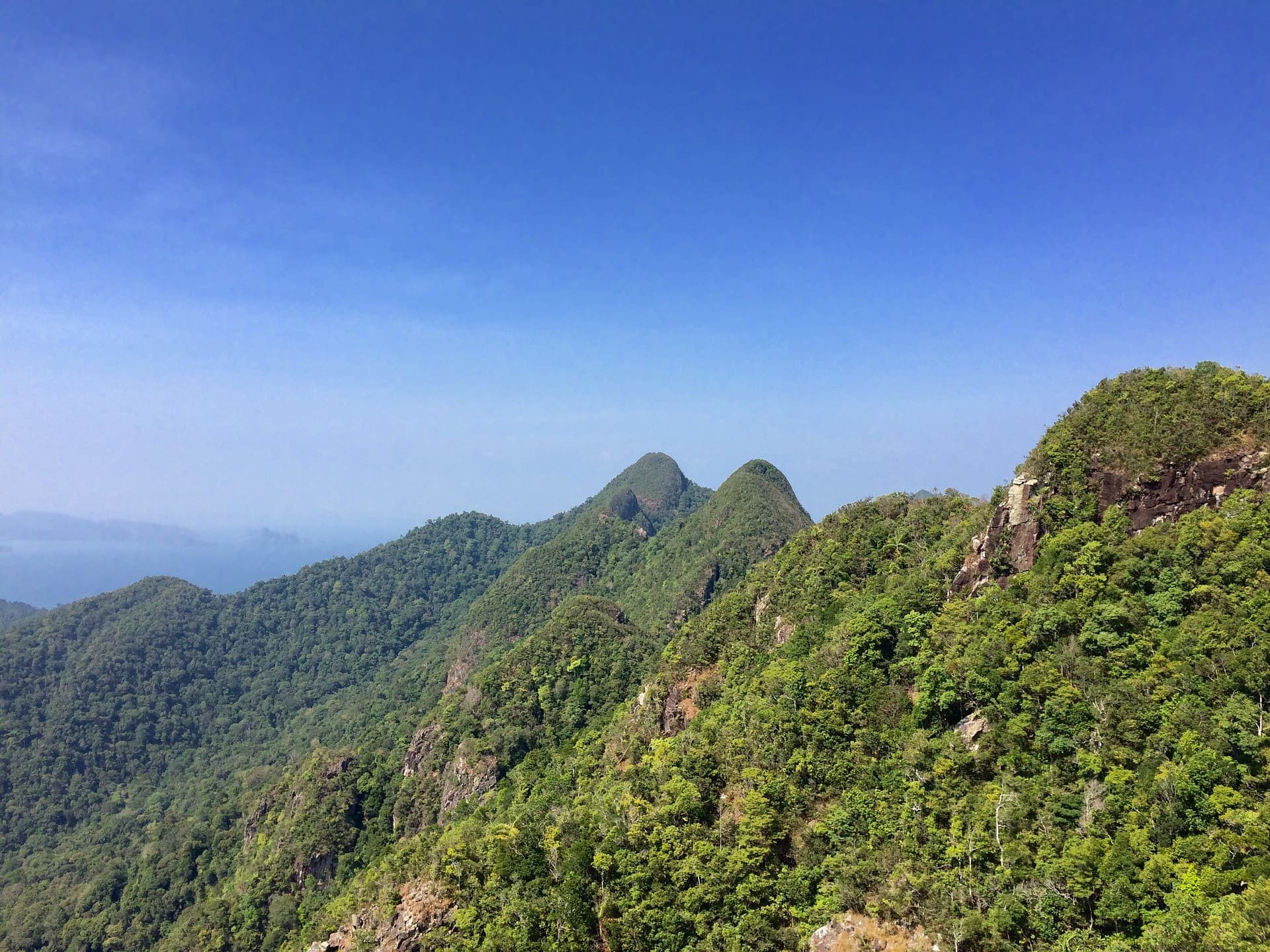 Langkawi Birdwatching Experience Tour - Half Day - სურათი 11