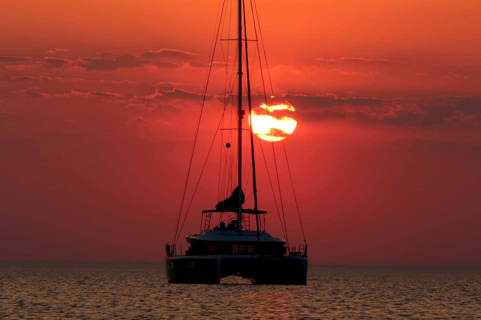 Key West: Dolphin Watching Cruise + Snorkeling + Drinks - სურათი 4