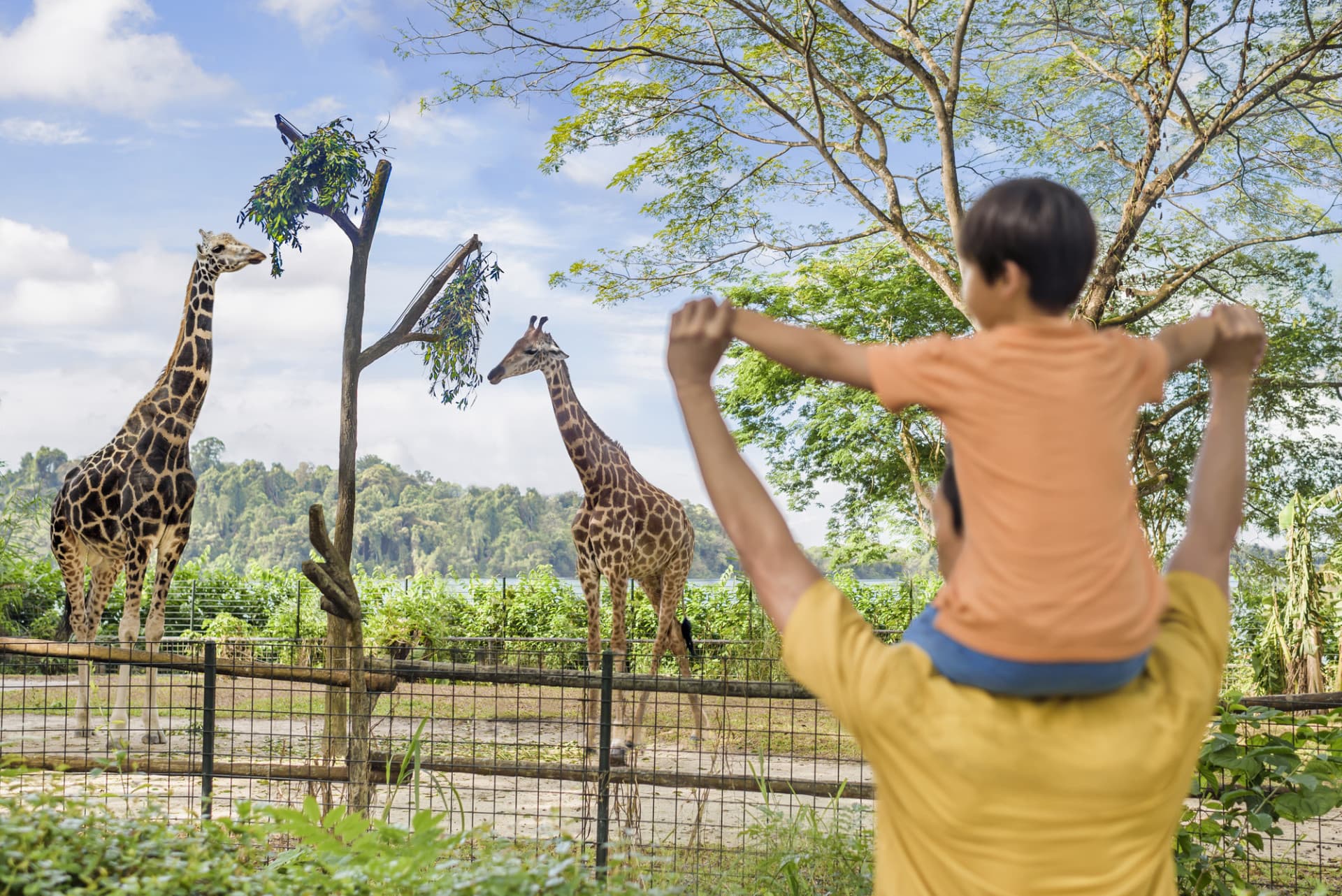 COMBO: Singapore Zoo + Breakfast in the Wild - სურათი 4