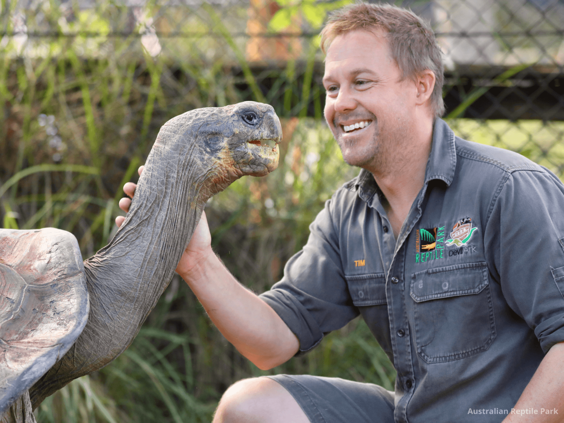 Australian Reptile Park - სურათი 43