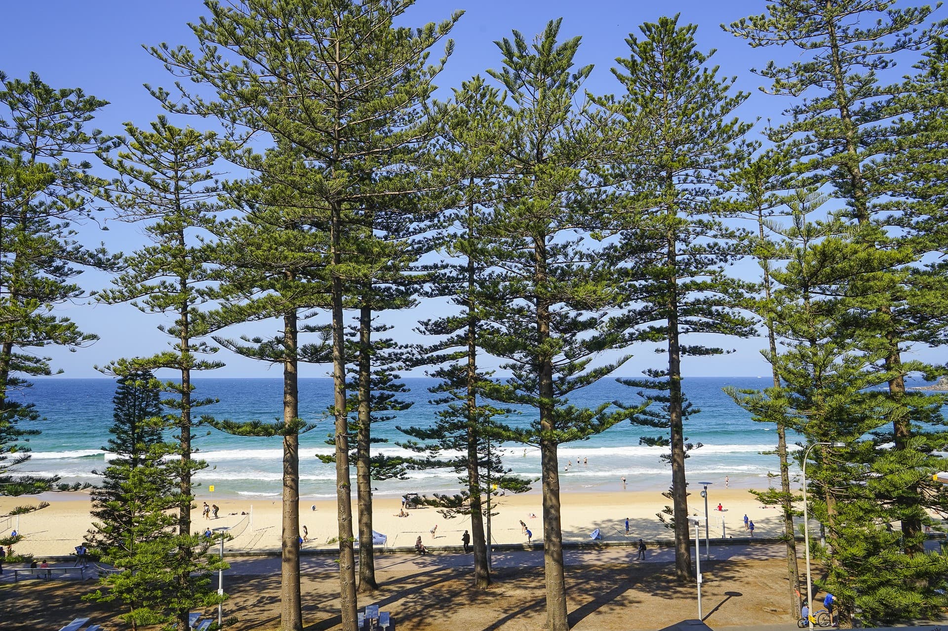Manly Beach Cycling Tour with Sunset Cruise - სურათი 5