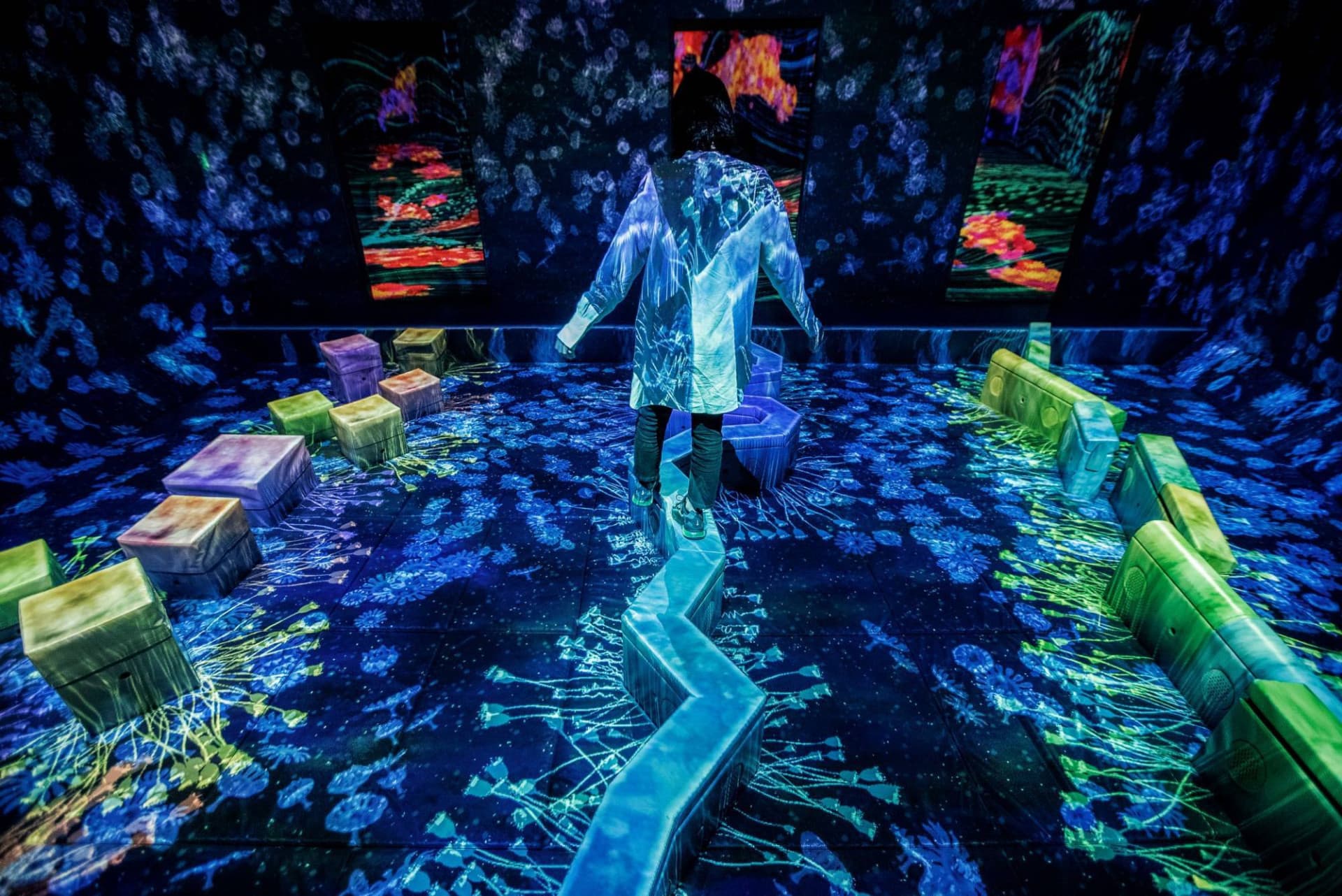 teamLab Forest Fukuoka - სურათი 2