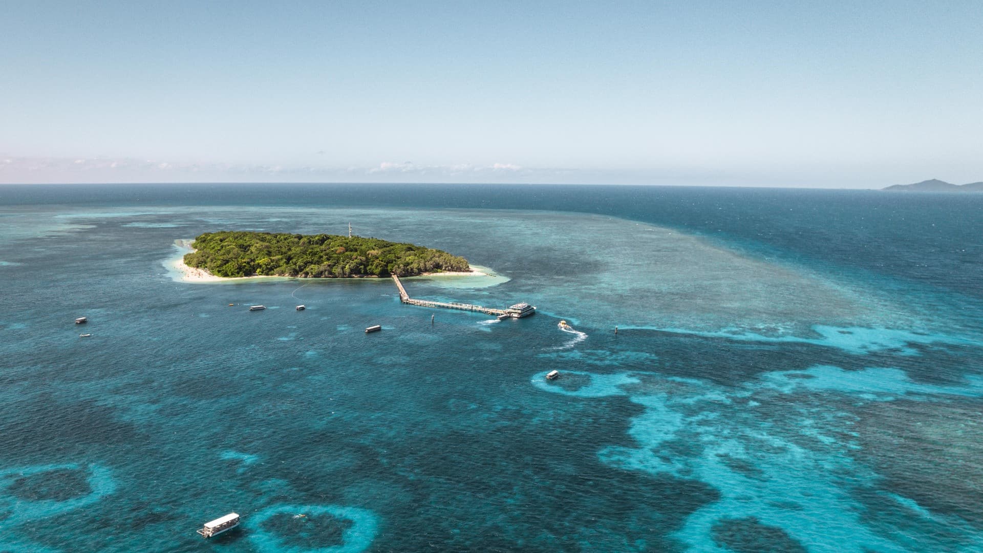 Green Island Great Barrier Reef Half Day Tour from Cairns - სურათი 2