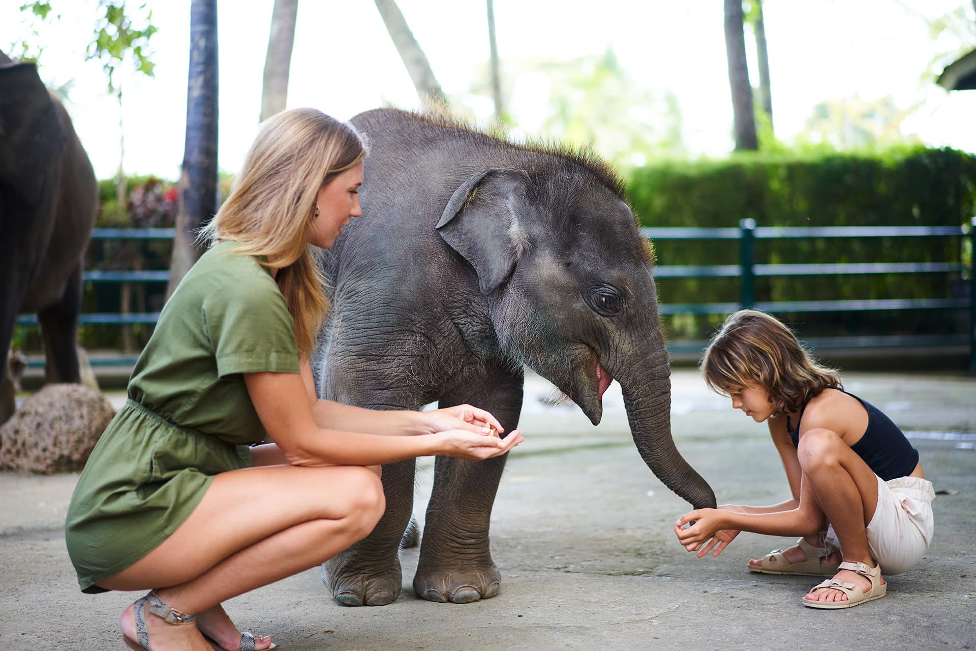 COMBO: Waterbom Bali + Mason Elephant Park Bali Tickets - სურათი 6