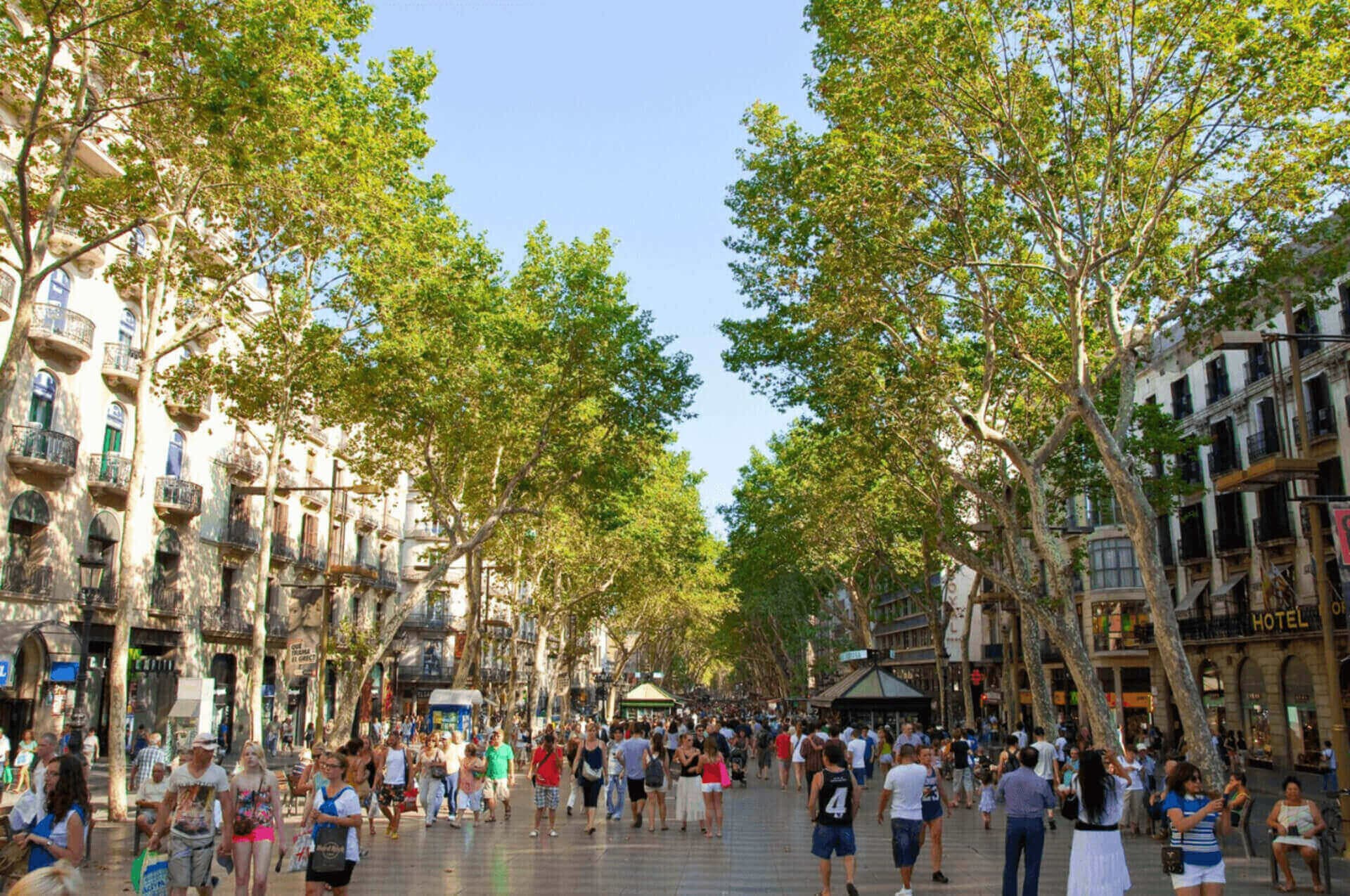 Barcelona Self-Guided Audio Tour: Sagrada Familia, Park Guell, Casa Batllo - სურათი 4