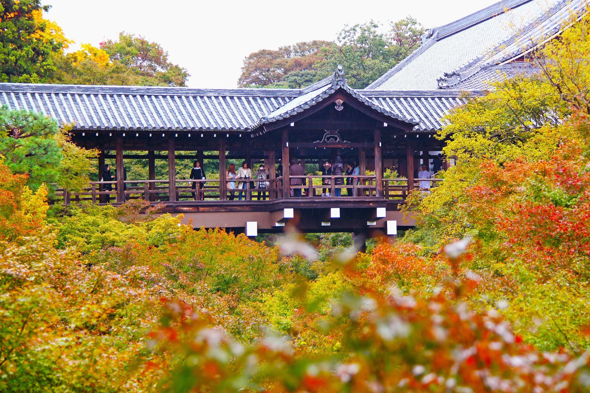 Kyoto-Osaka Sightseeing Pass - სურათი 5