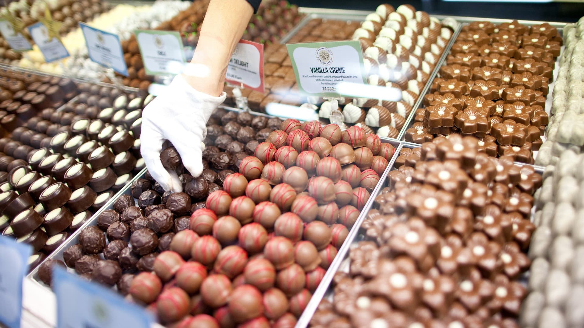 Swan Valley Full-Day Tour with Indulgence Cruise and Wine and Chocolate Tasting - სურათი 3