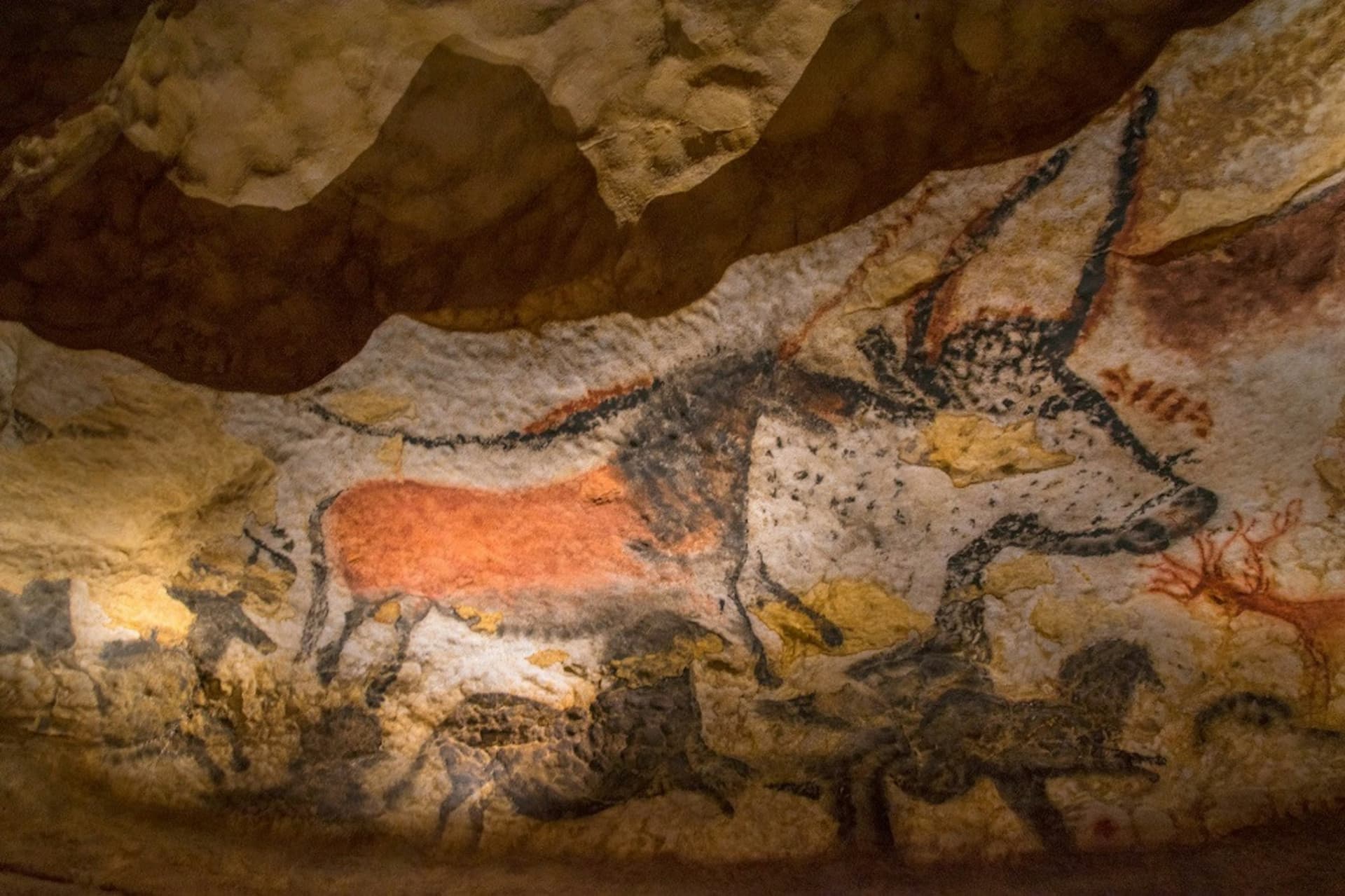 Lascaux II Guided Tour - სურათი 3