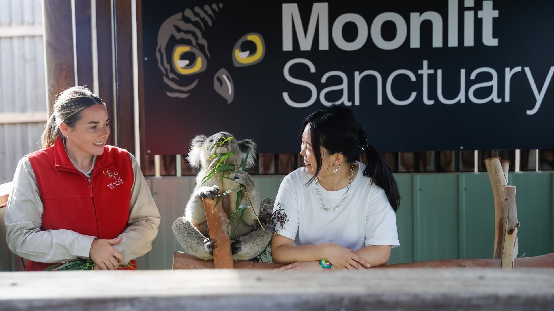 Moonlit Sanctuary Wildlife Conservation Park Ticket - სურათი 6