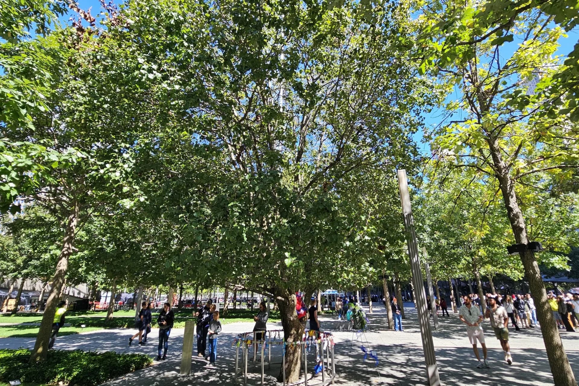 9/11 Memorial & Wall Street Walking Tour + Optional 9/11 Museum Admission - სურათი 13