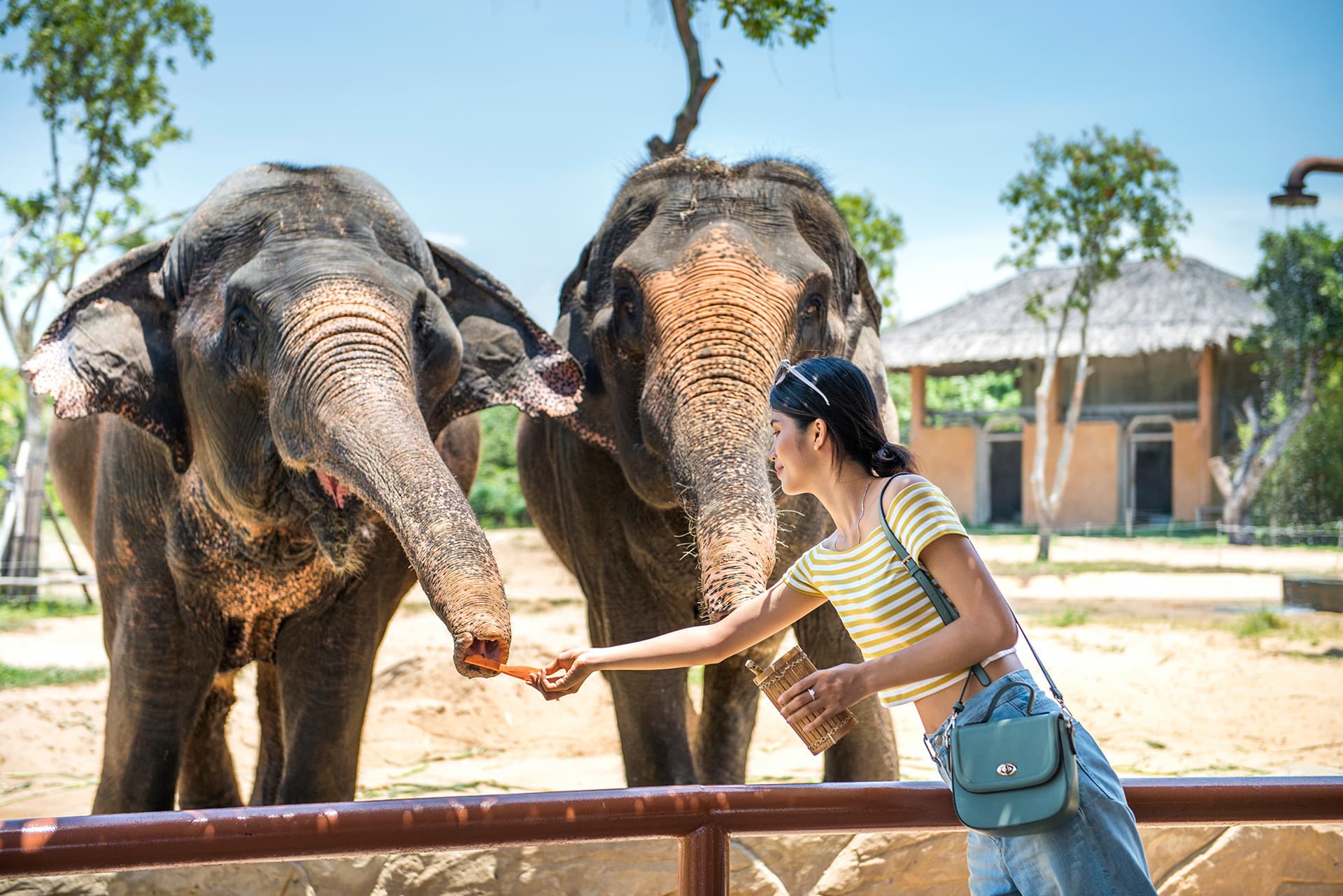 VinWonders Nam Hoi An Amusement Park Ticket - სურათი 10