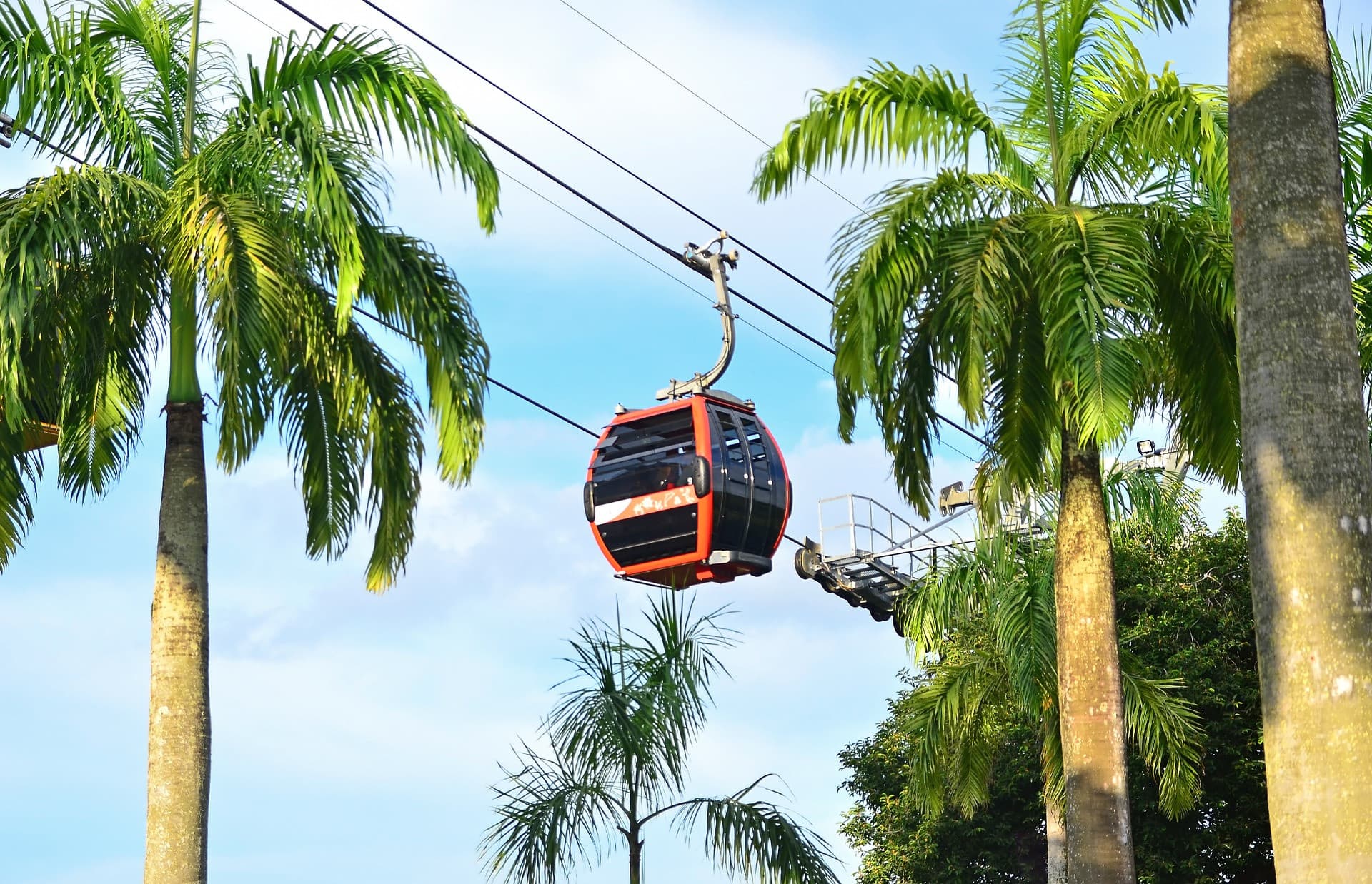 COMBO: Wings of Time Fireworks Symphony + Singapore Cable Car + Dining at Sentosa - სურათი 5
