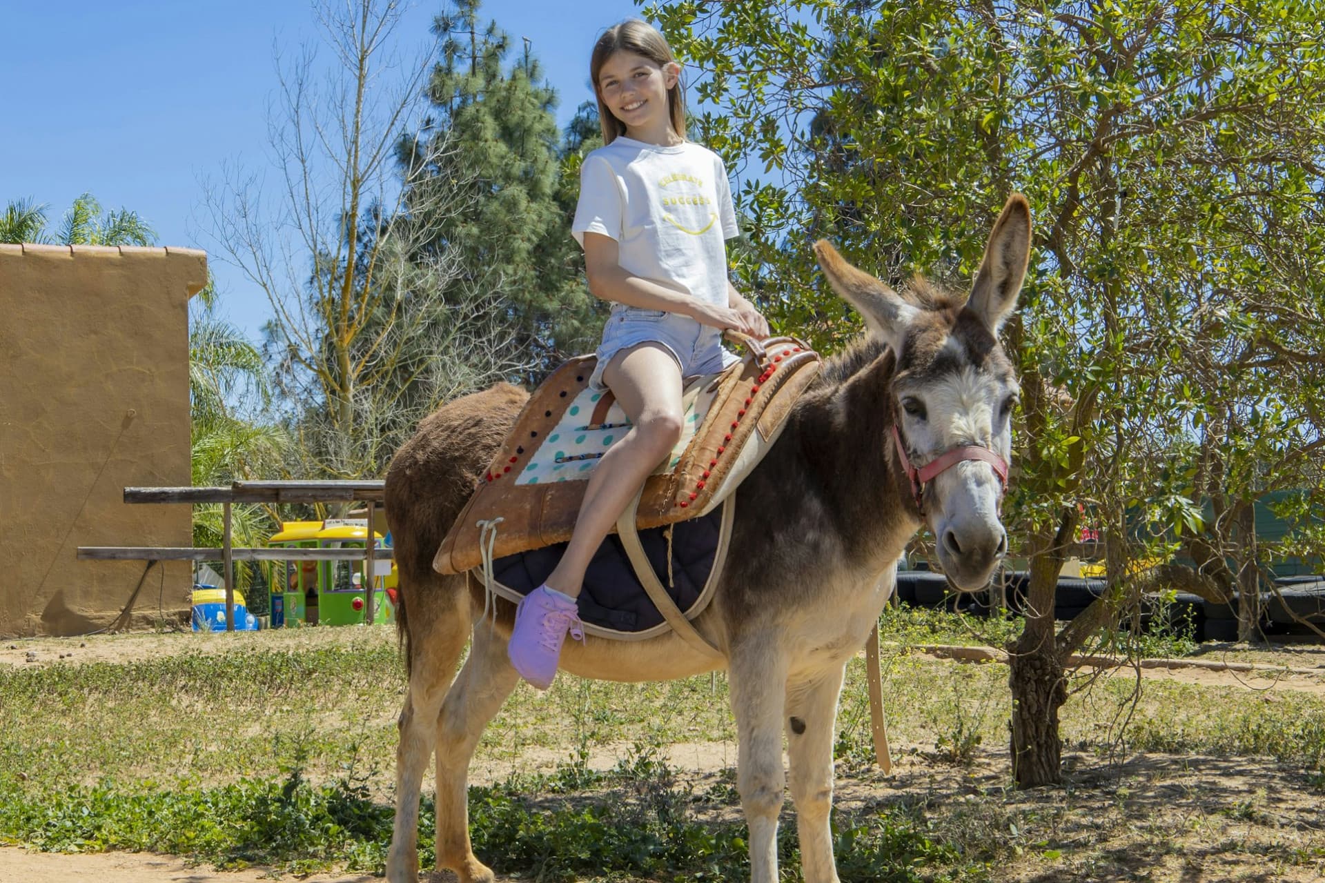 Krazy World Algarve Park Ticket - მთავარი სურათი