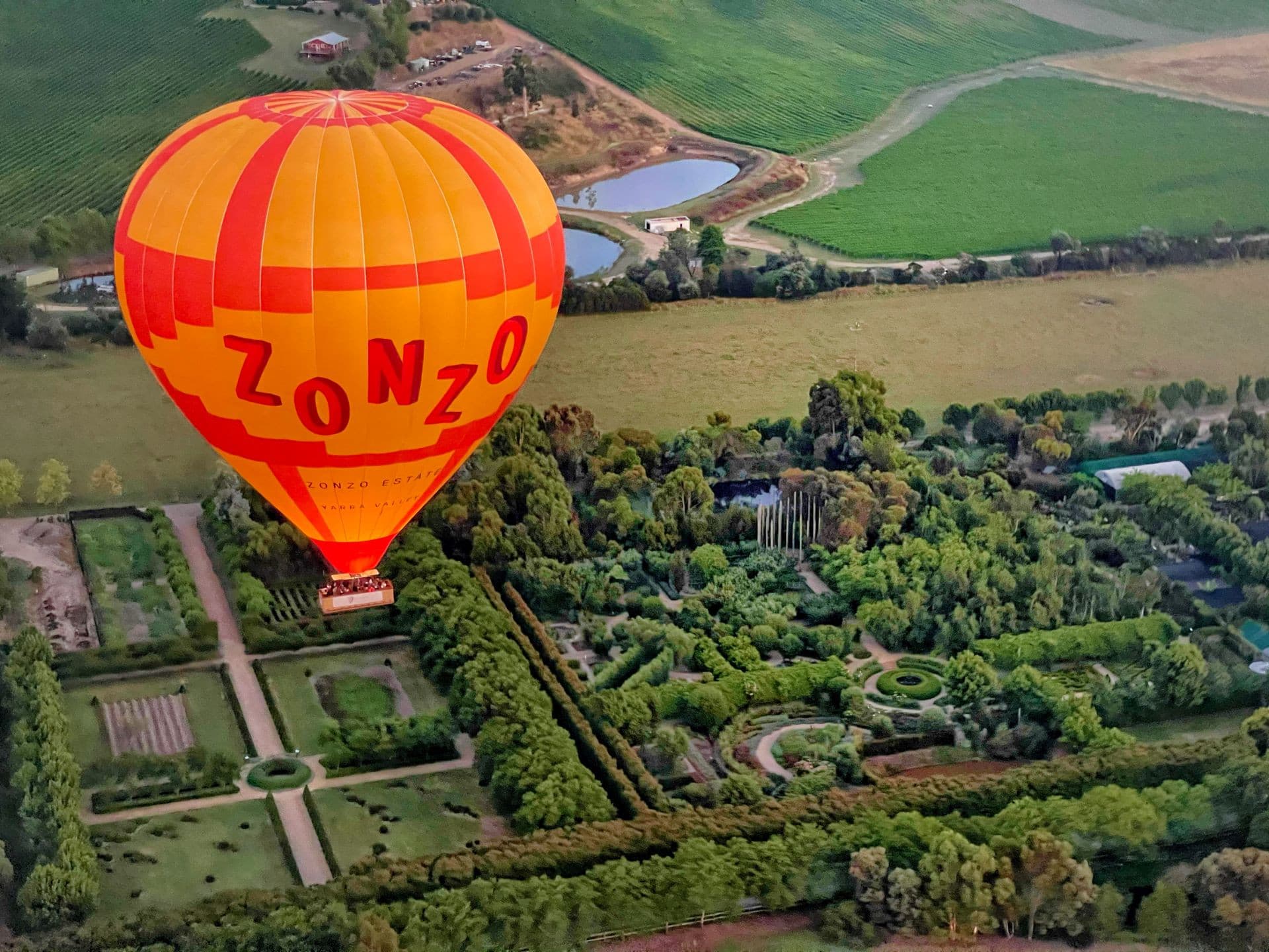 Sunrise Hot Air Balloon Flight over Yarra Valley with Photos - სურათი 7
