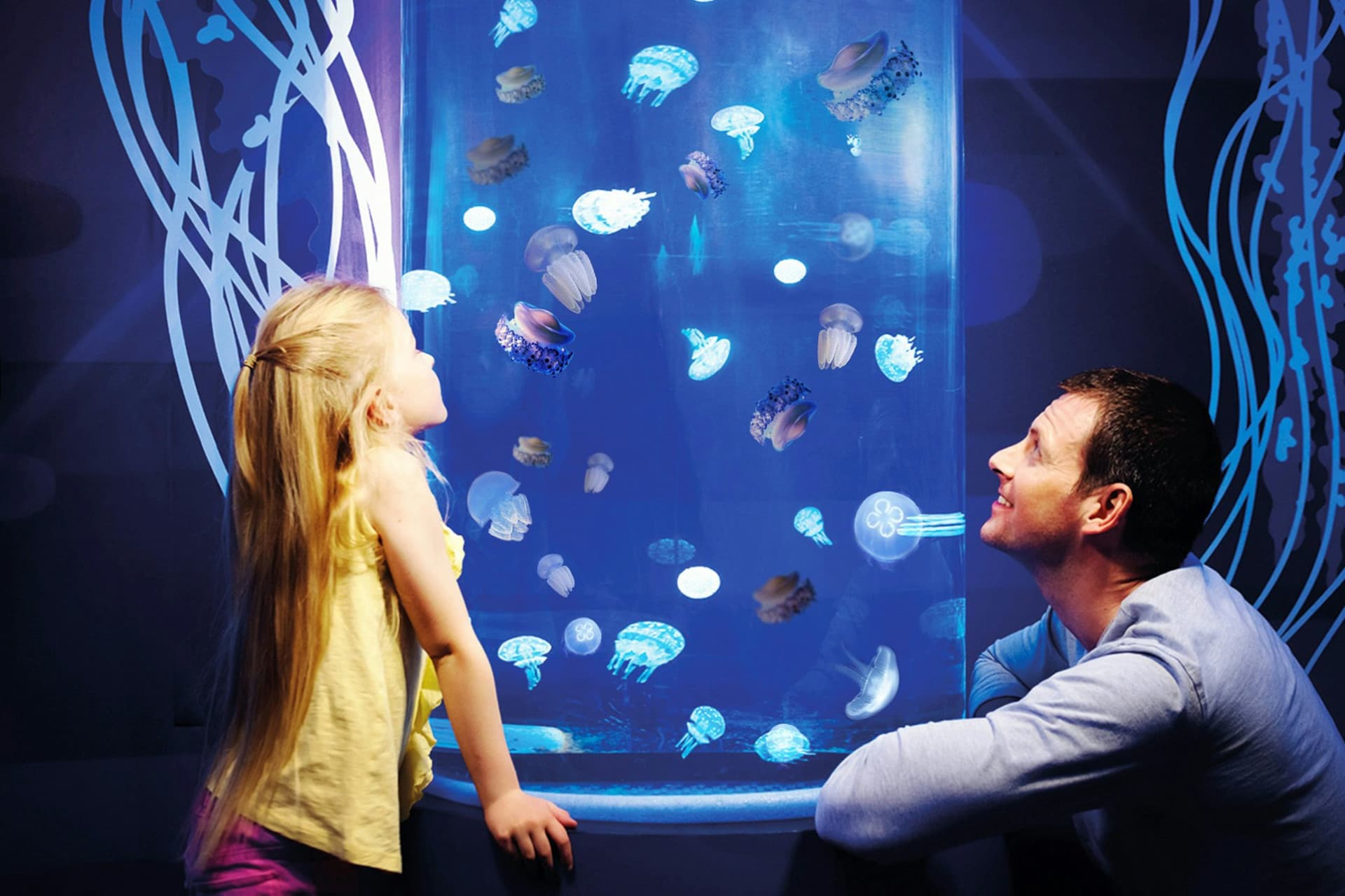 Gardaland SEA LIFE Aquarium Ticket - სურათი 8