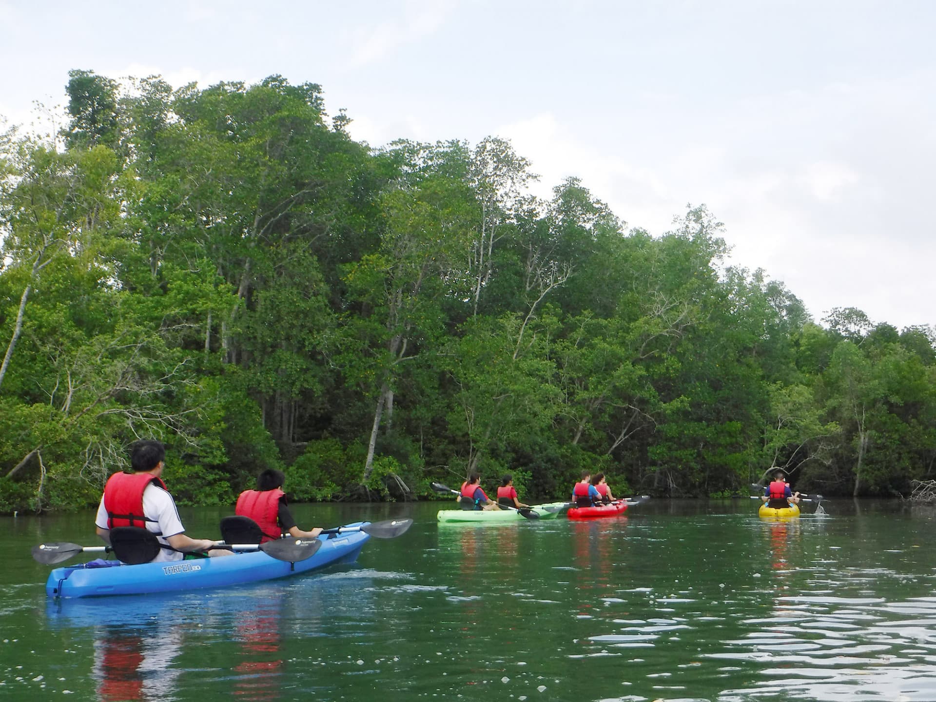 Pulau Ubin Kayaking - სურათი 3