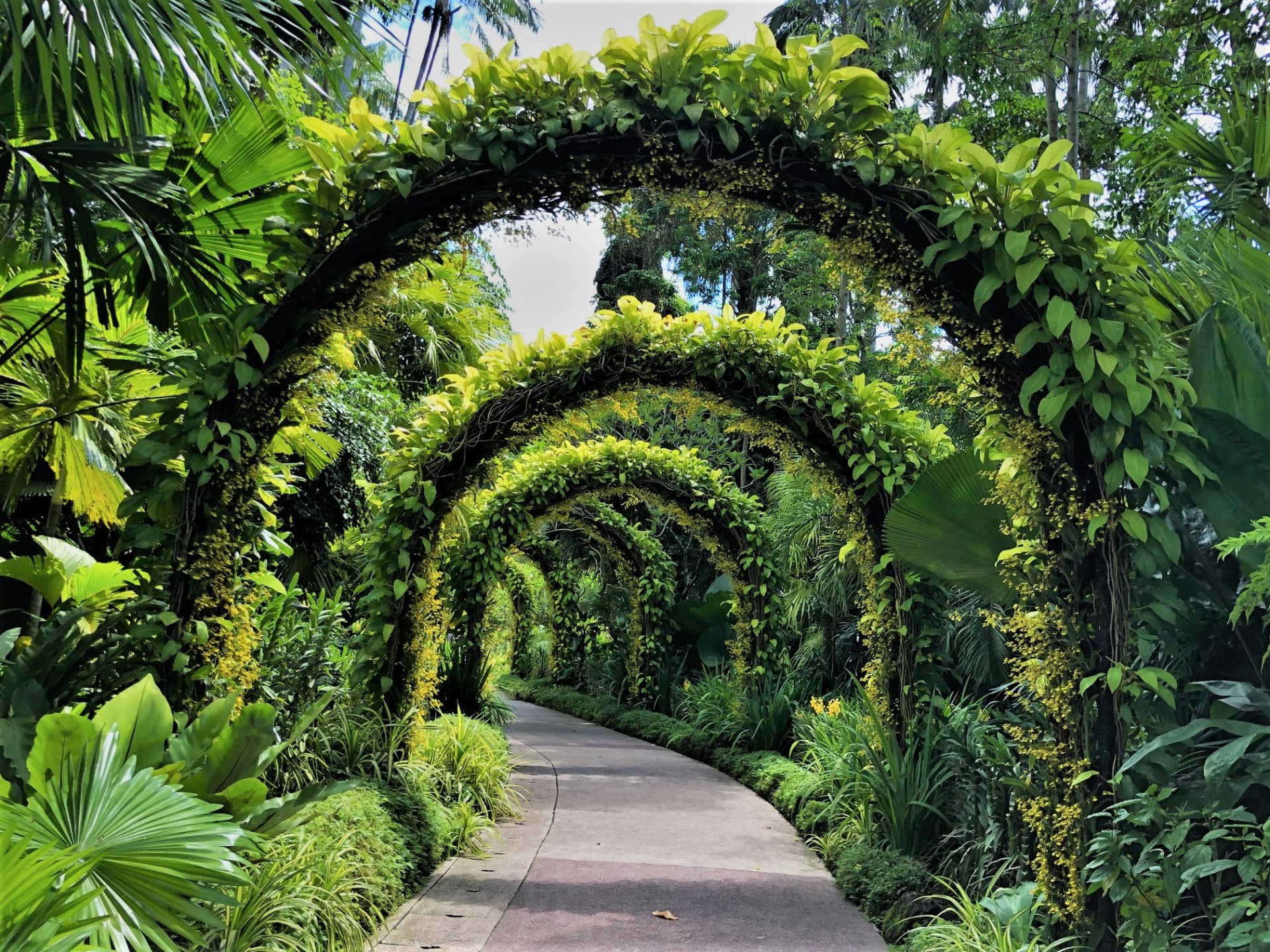 COMBO: Gardens by the Bay - Floral Fantasy + National Orchid Garden - სურათი 7