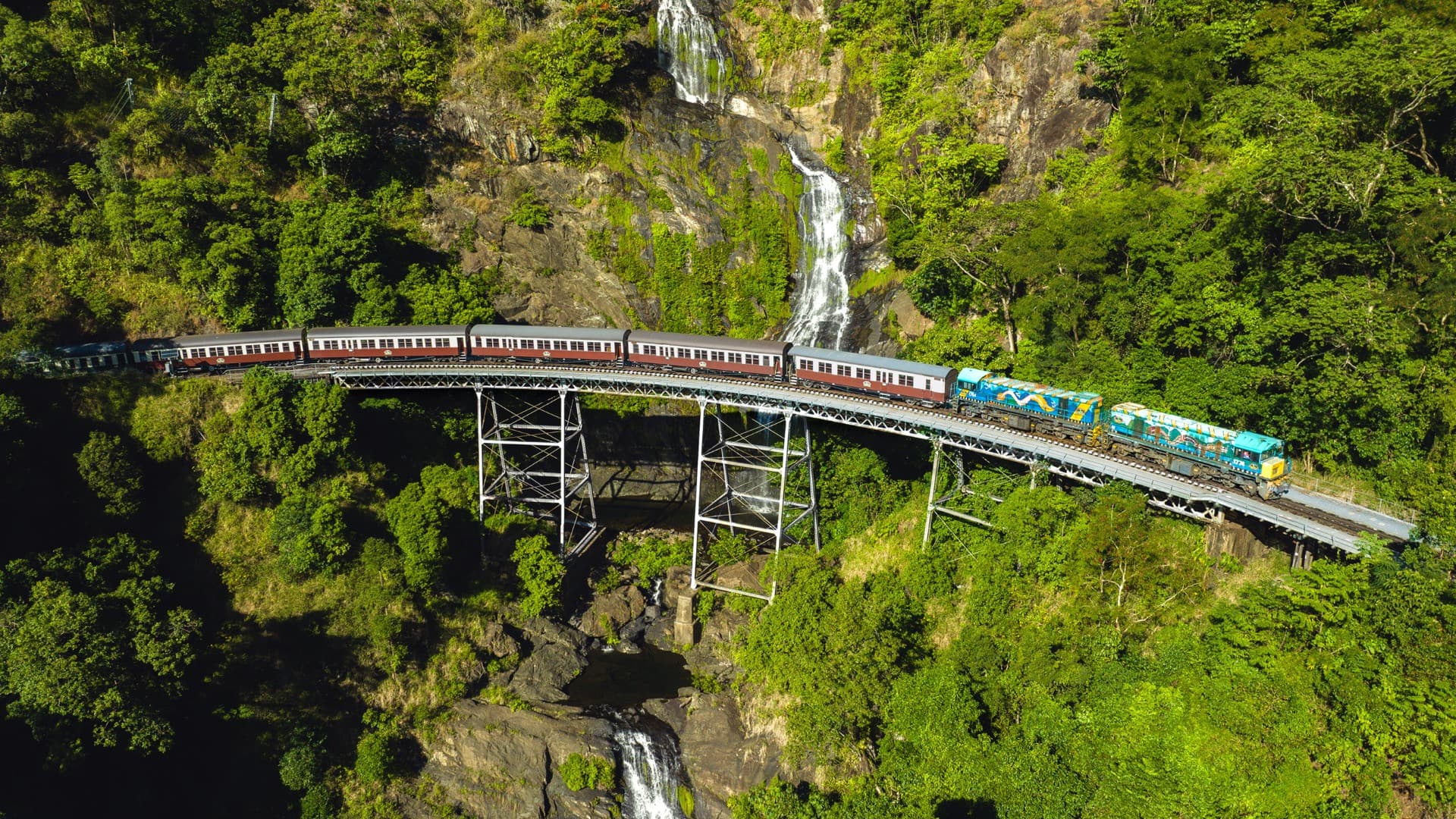 Skyrail Rainforest Cableway with Optional Kuranda Scenic Train Ticket and Hotel Pick-Up - სურათი 4