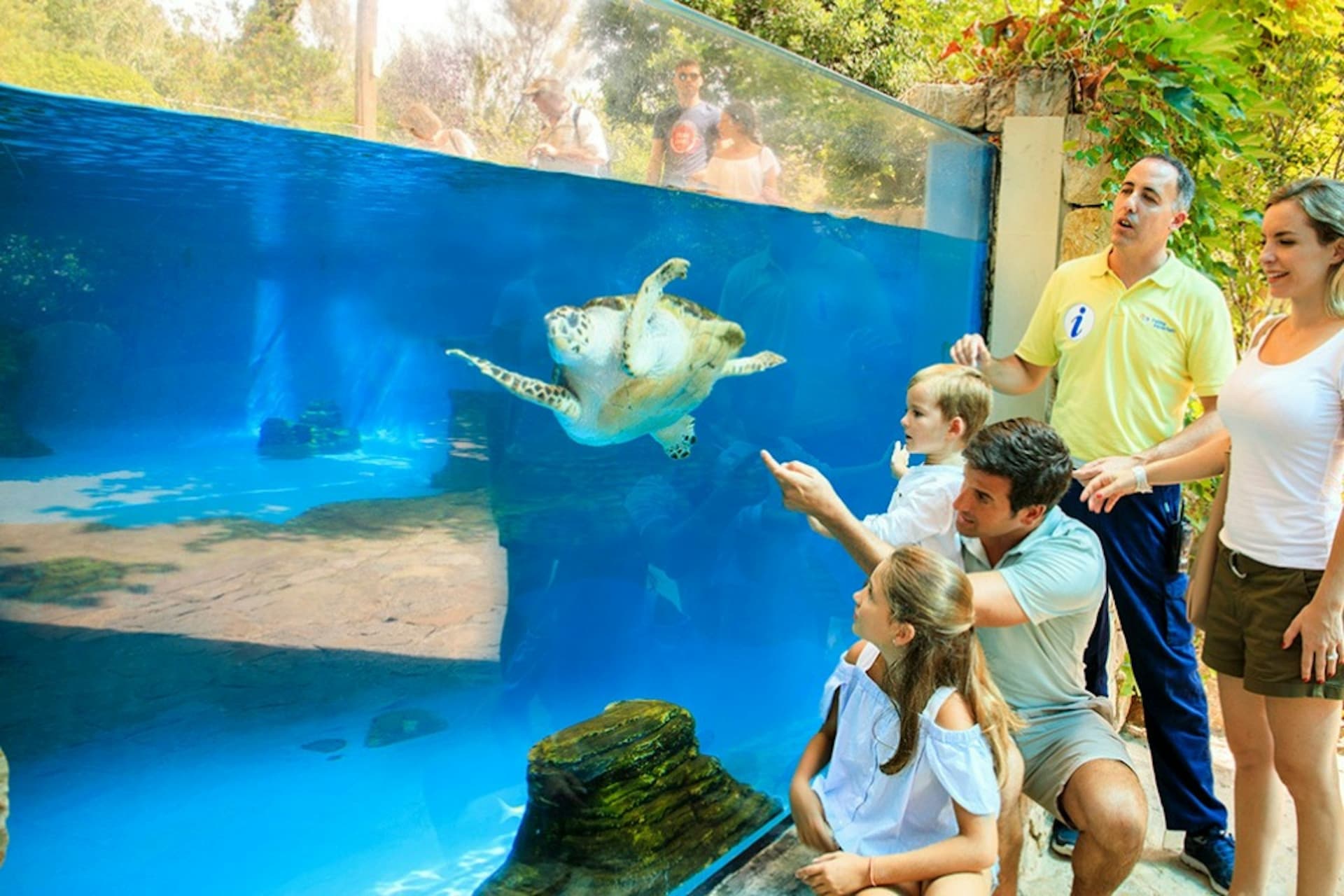 Palma Aquarium: Skip The Line Ticket + Optional 3D Cinema Aquadome - სურათი 9