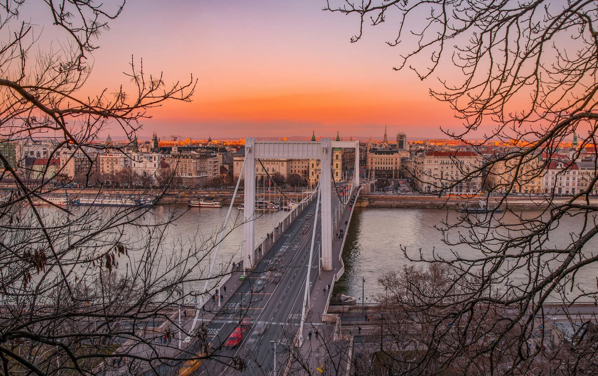 Budapest Parliament Panorama Sightseeing Cruise from Buda - სურათი 6