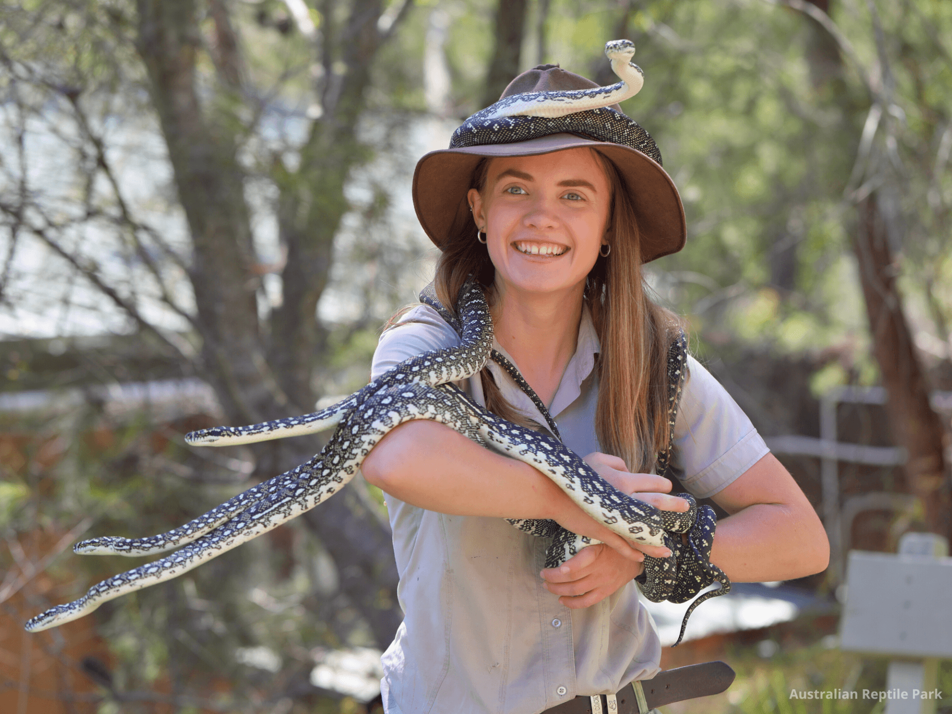 Australian Reptile Park - სურათი 5