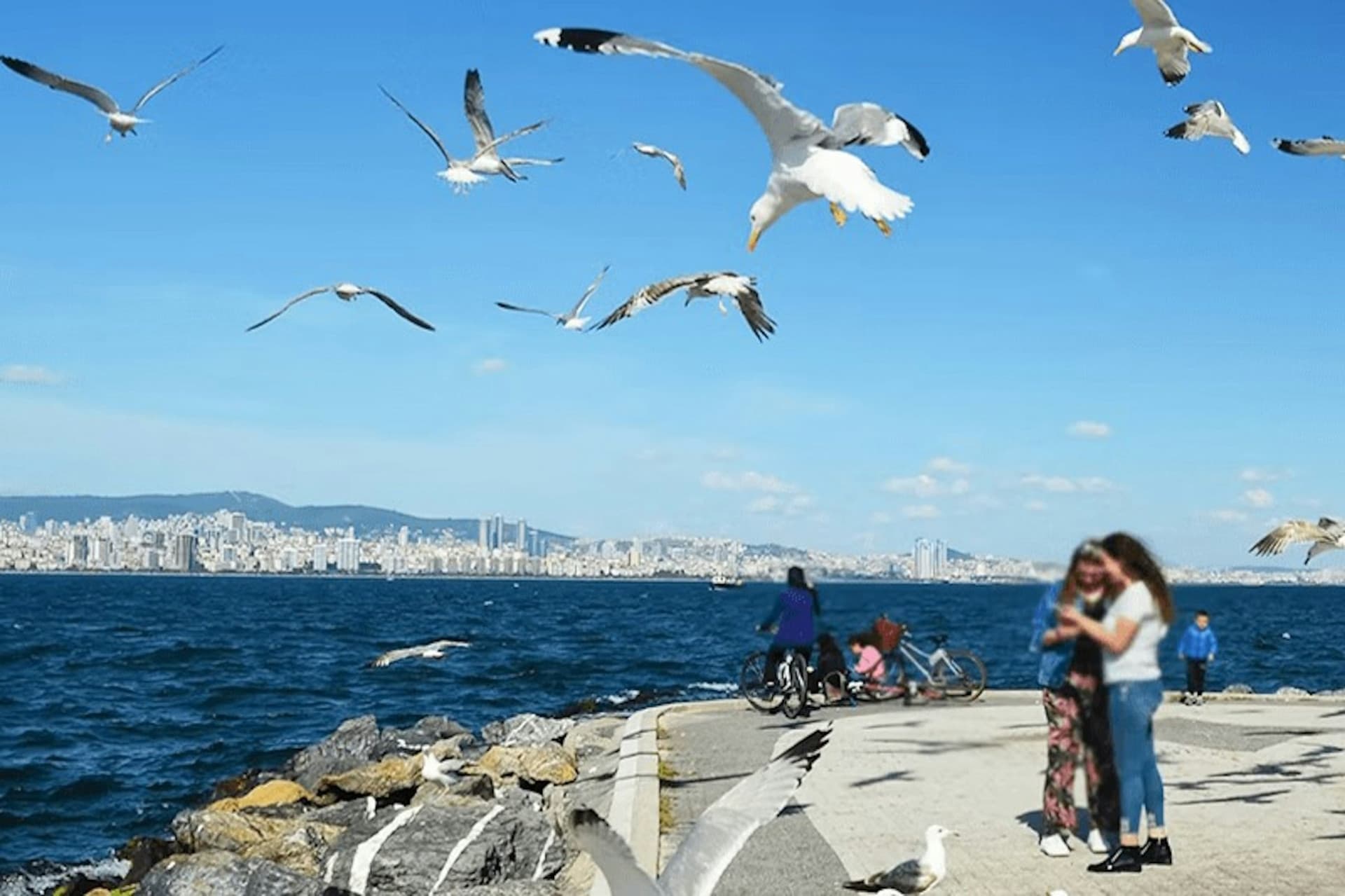 Istanbul Princes' Islands Roundtrip Ferry - სურათი 2