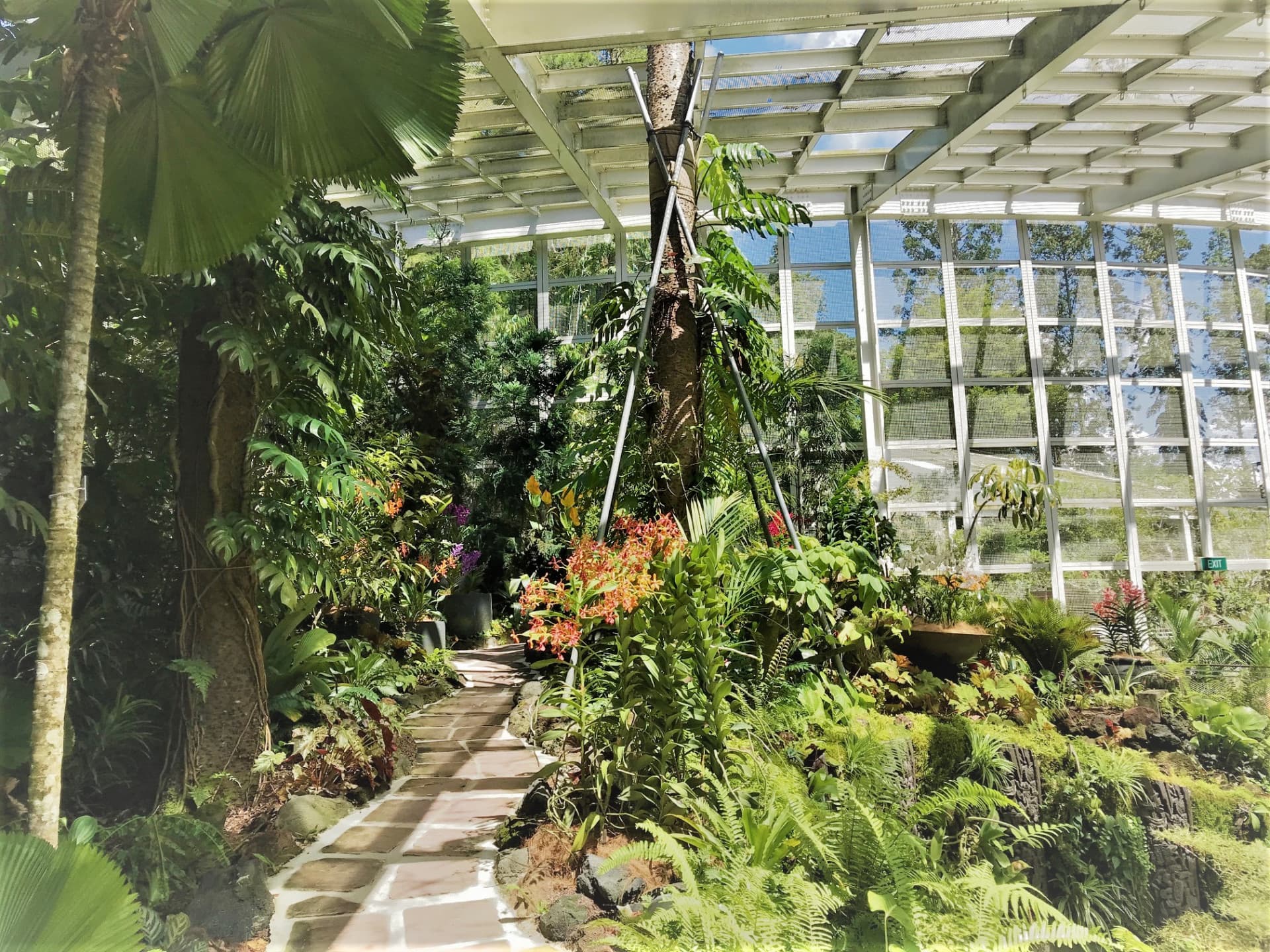 National Orchid Garden Ticket - სურათი 7