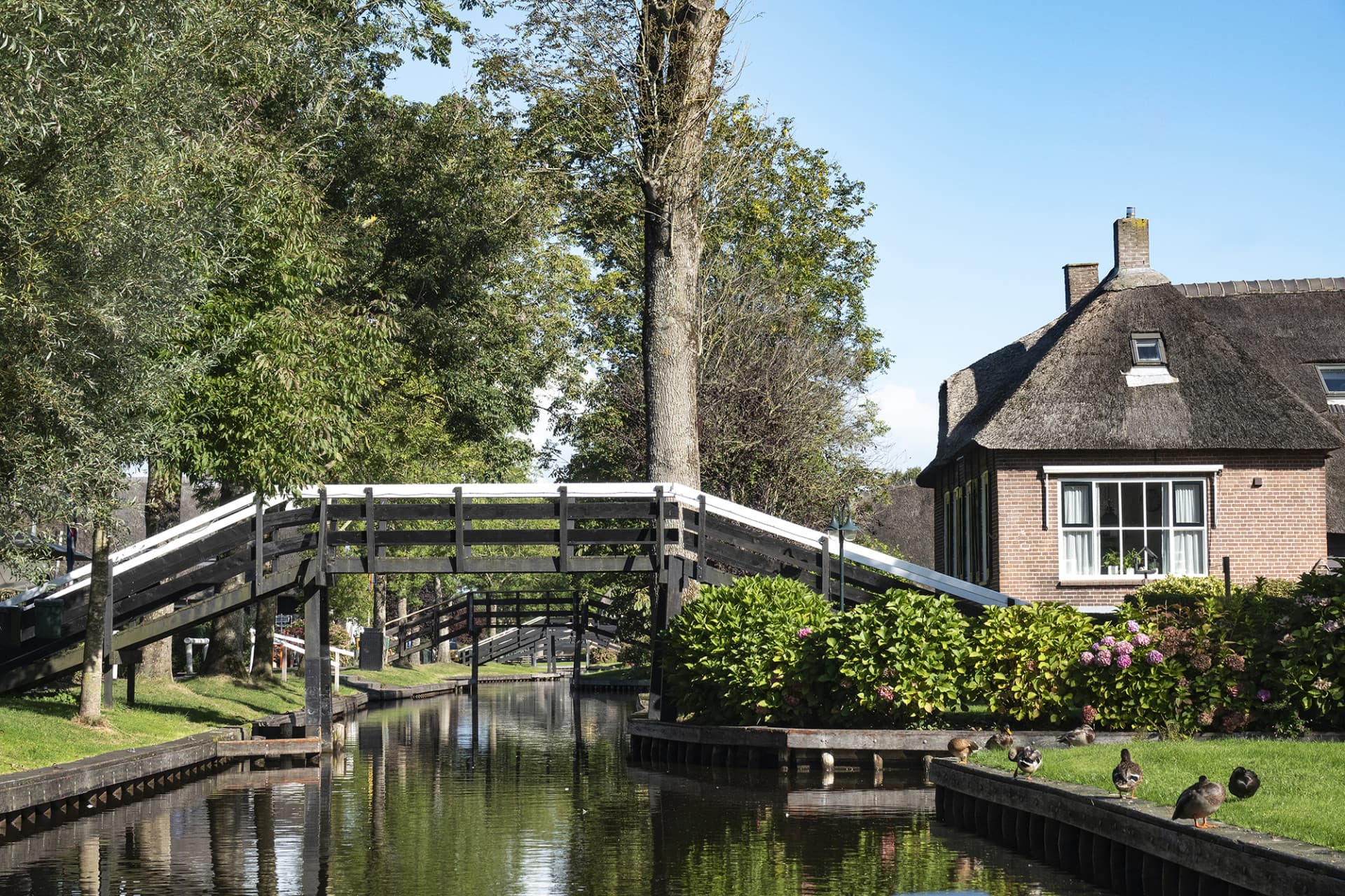 Giethoorn Full-Day Tour from Amsterdam with Canal Cruise and Self-Guided Walking Tour - სურათი 2