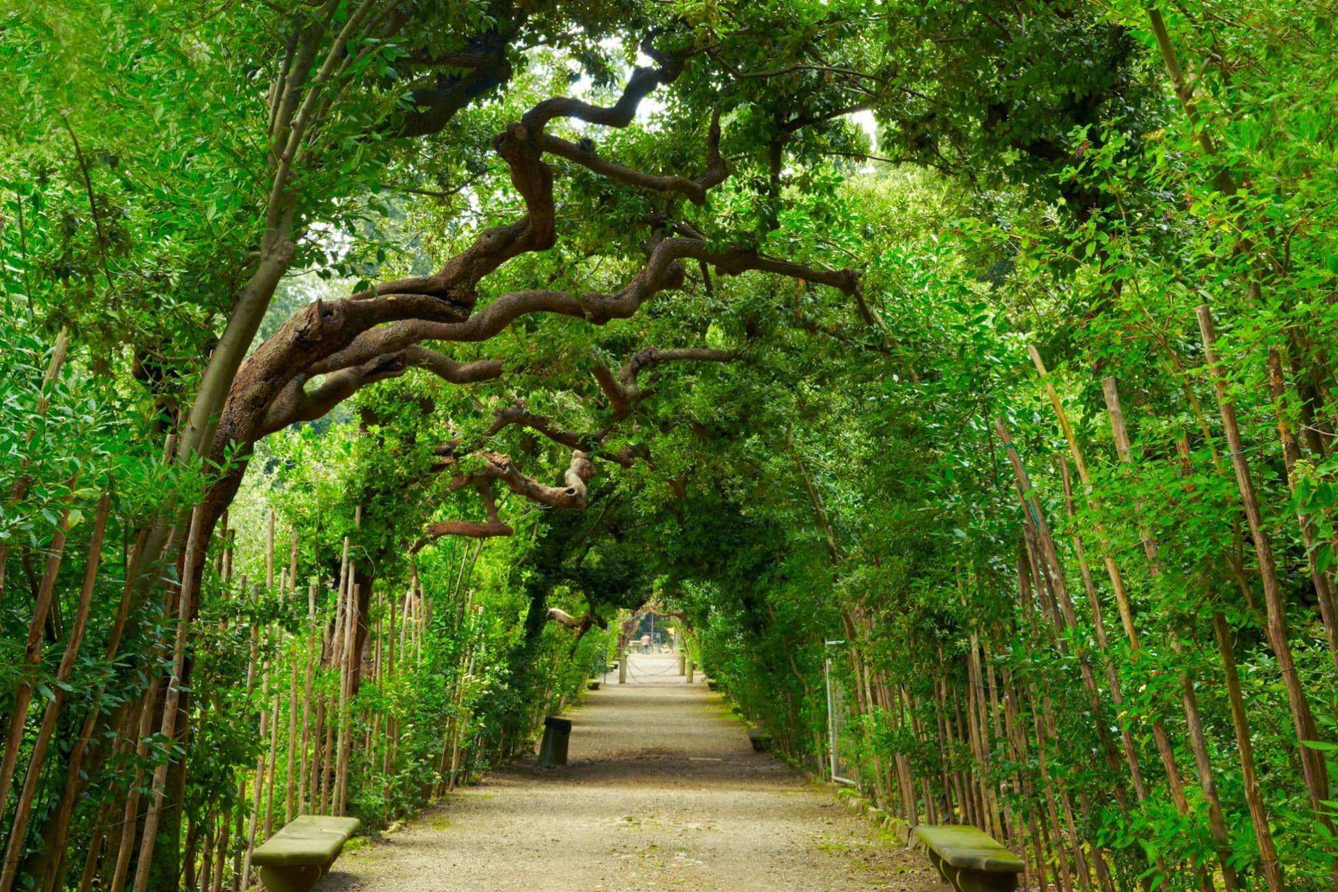 Palazzo Pitti & Boboli Gardens: Reserved Entrance + Florence City Audio Guide - სურათი 2