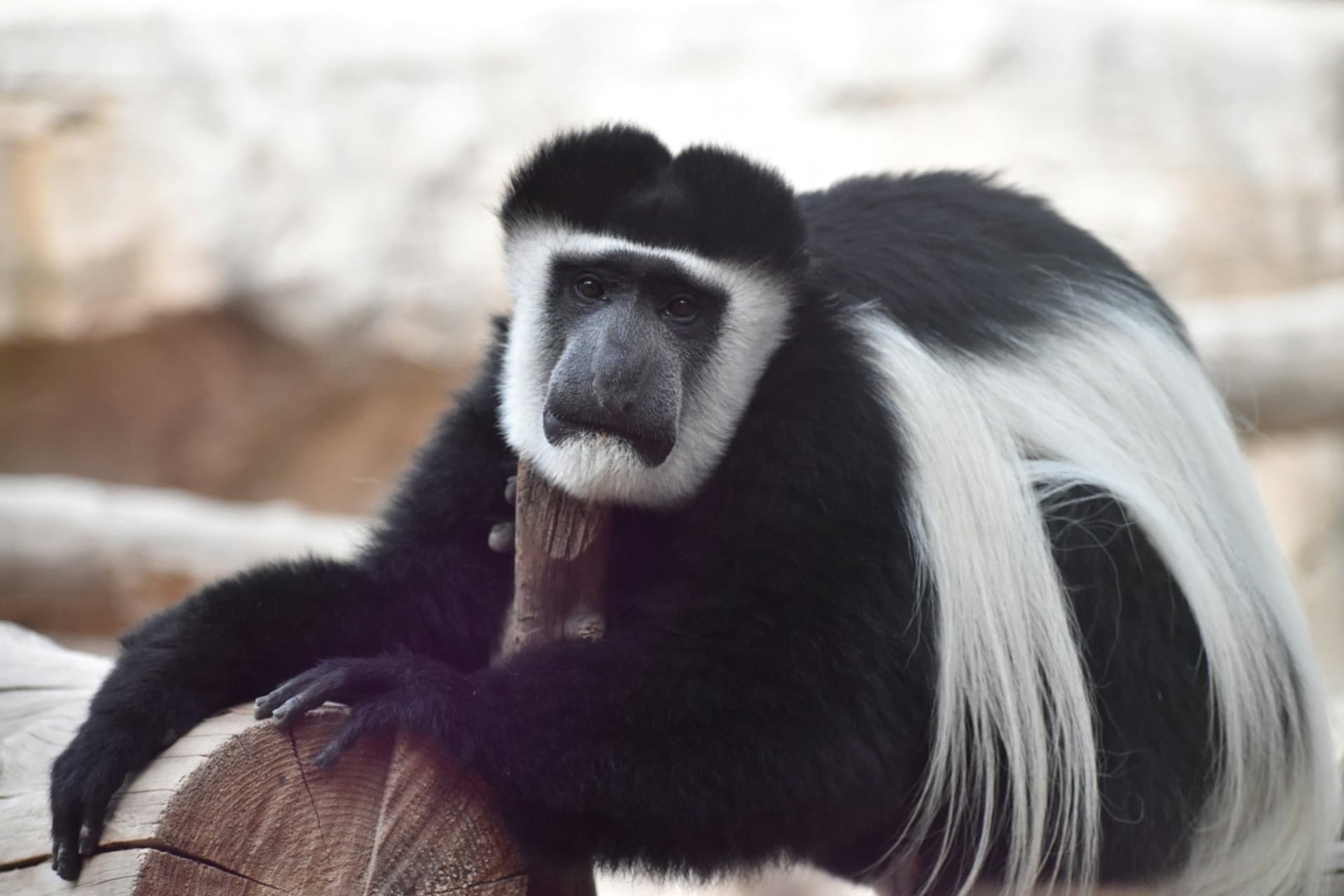 Terra Natura Murcia Ticket - სურათი 9