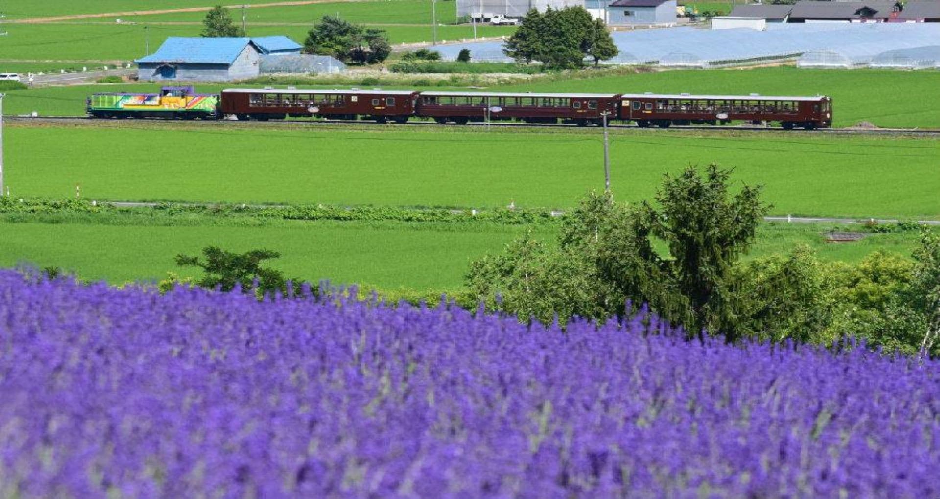Hokkaido Rail Pass - სურათი 8