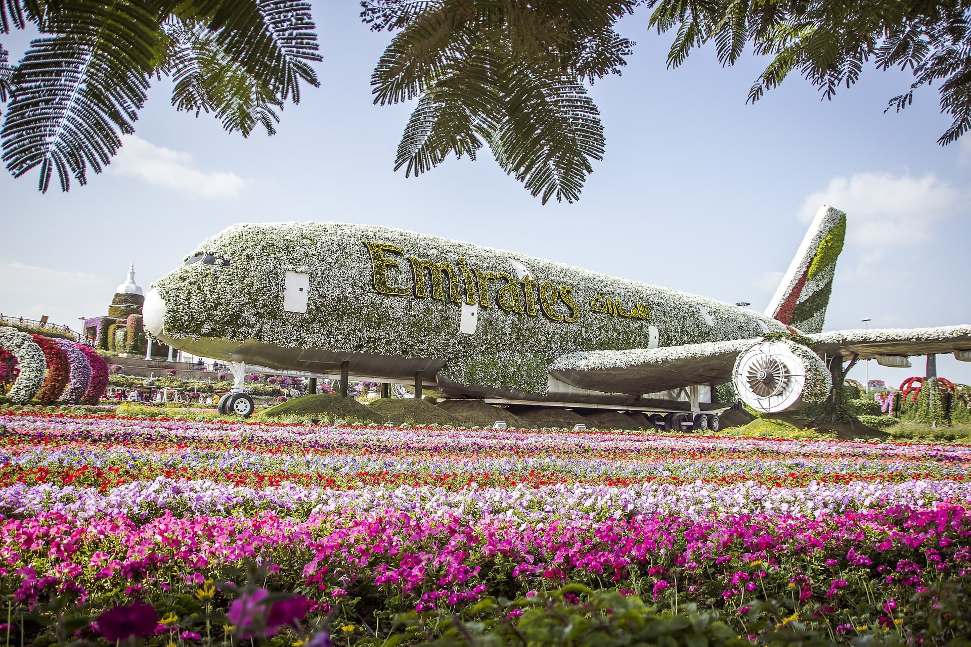 COMBO: Dubai Miracle Garden + Global Village Dubai Tickets - სურათი 3