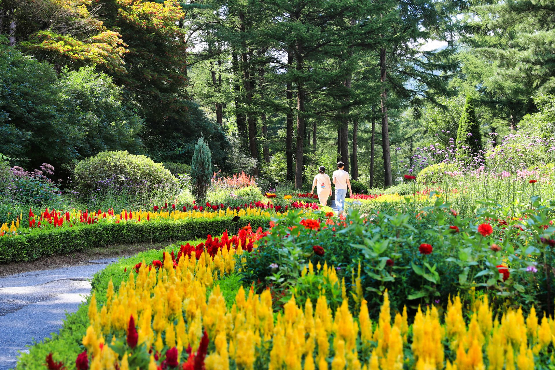 Nami Island, Mount Seorak, and Garden of Morning Calm Full-Day Tour from Seoul - სურათი 29