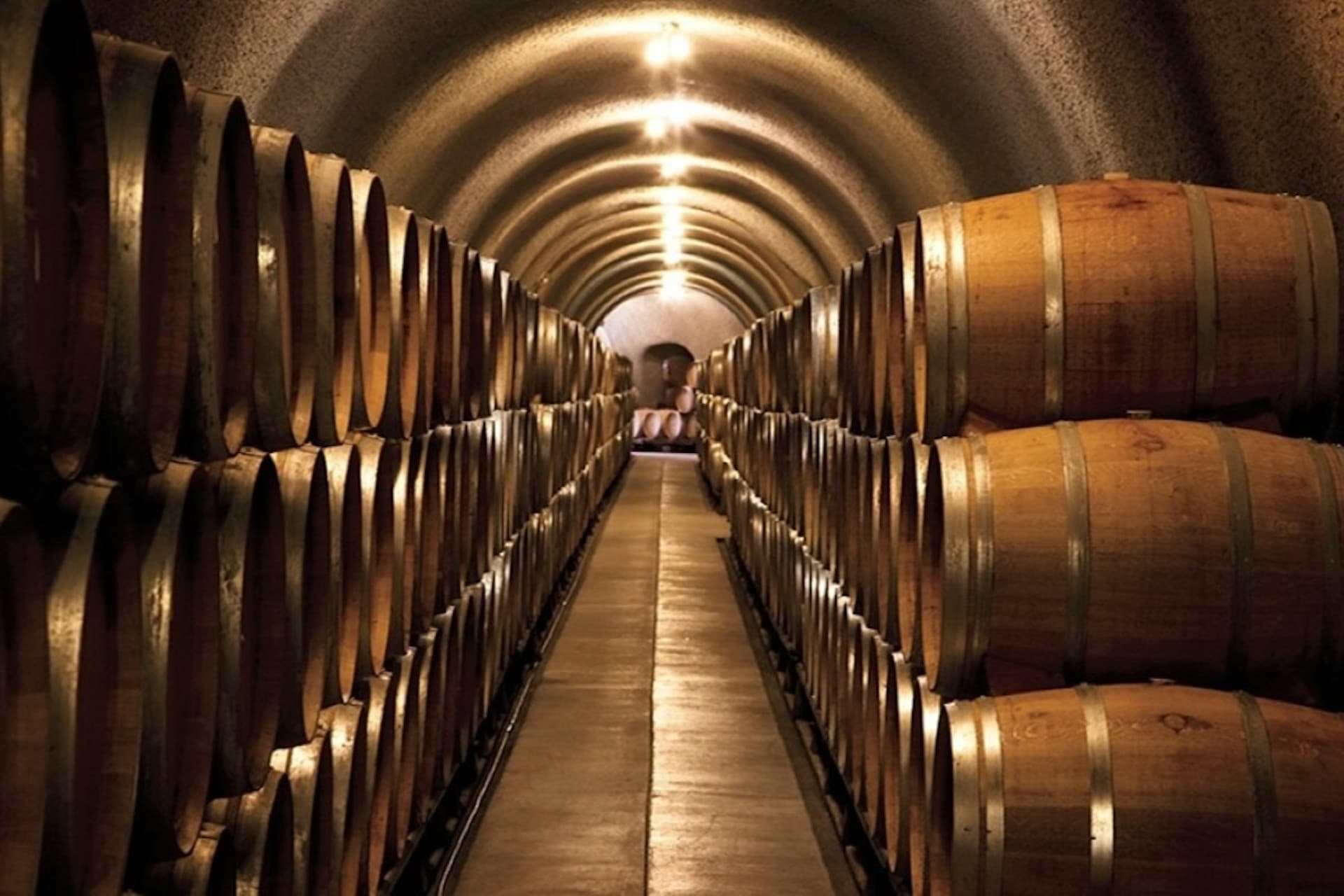 From San Francisco: Full Day Napa Valley Wine Tasting Tour - მთავარი სურათი