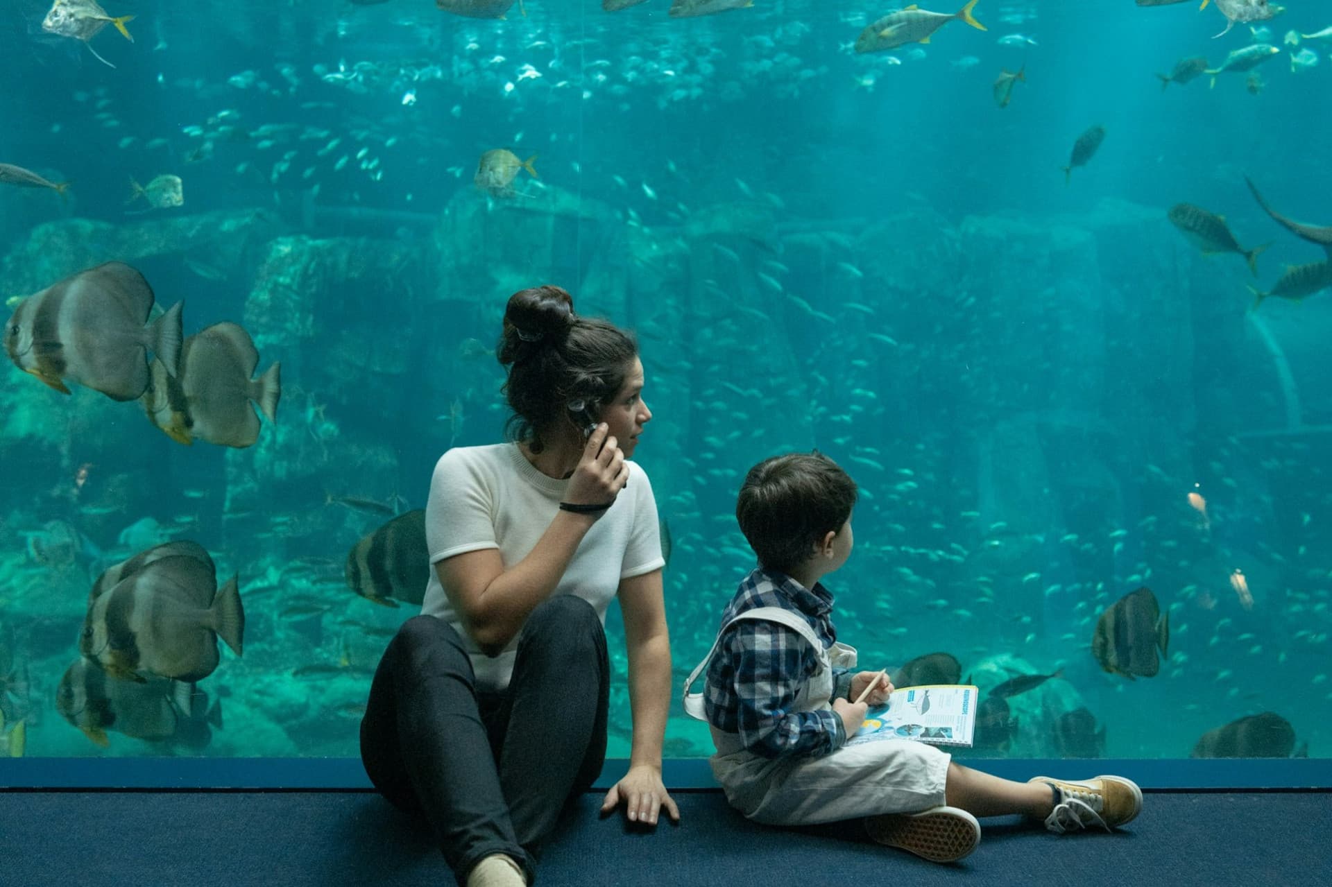 Nausicaa: Skip The Line Ticket - სურათი 7
