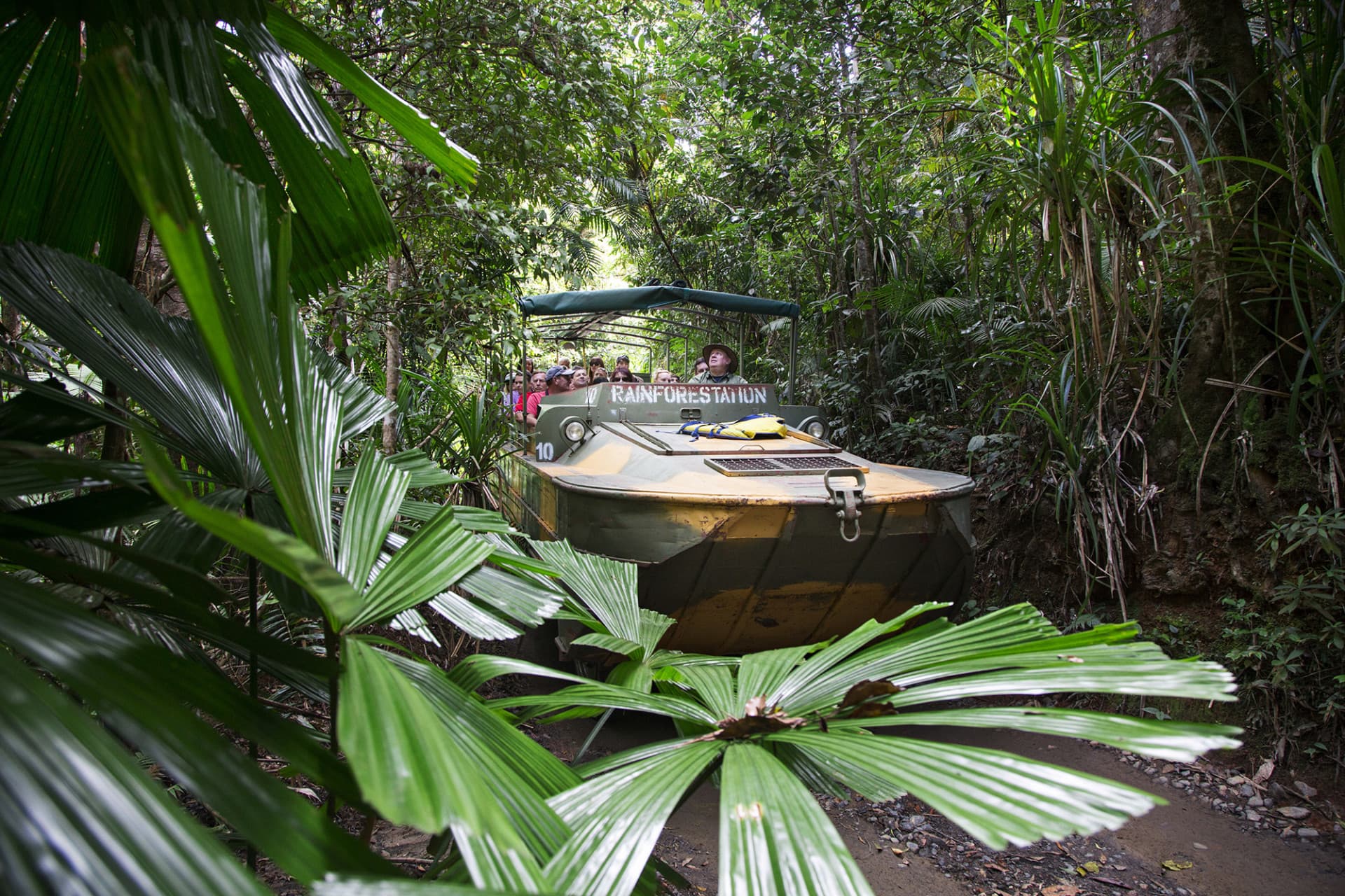 Full-Day Kuranda Tour with Skyrail Cableway, Scenic Railway and Rainforestation - სურათი 7