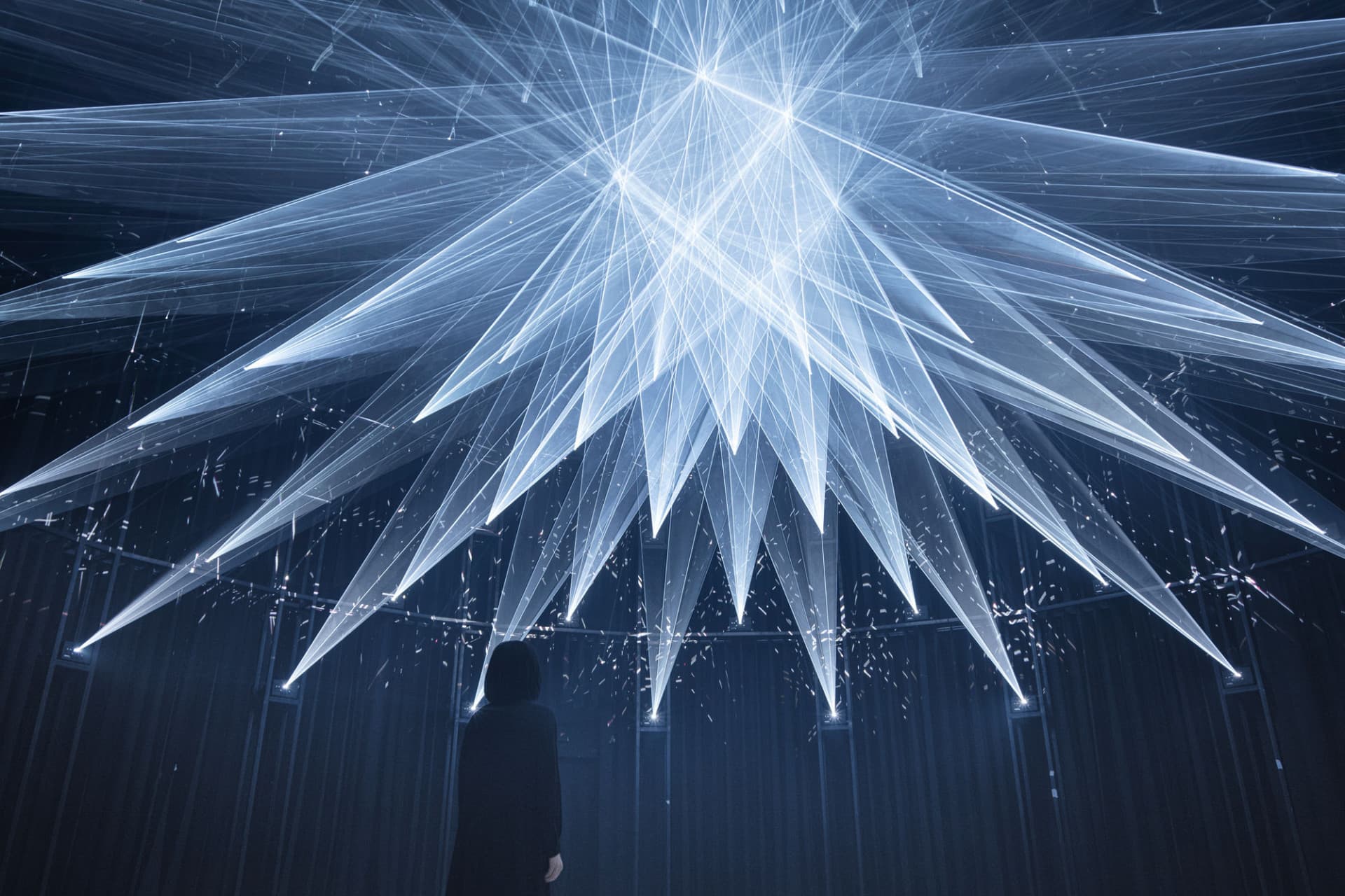 teamLab SuperNature Macao 3D Interactive Exhibition Ticket - სურათი 6