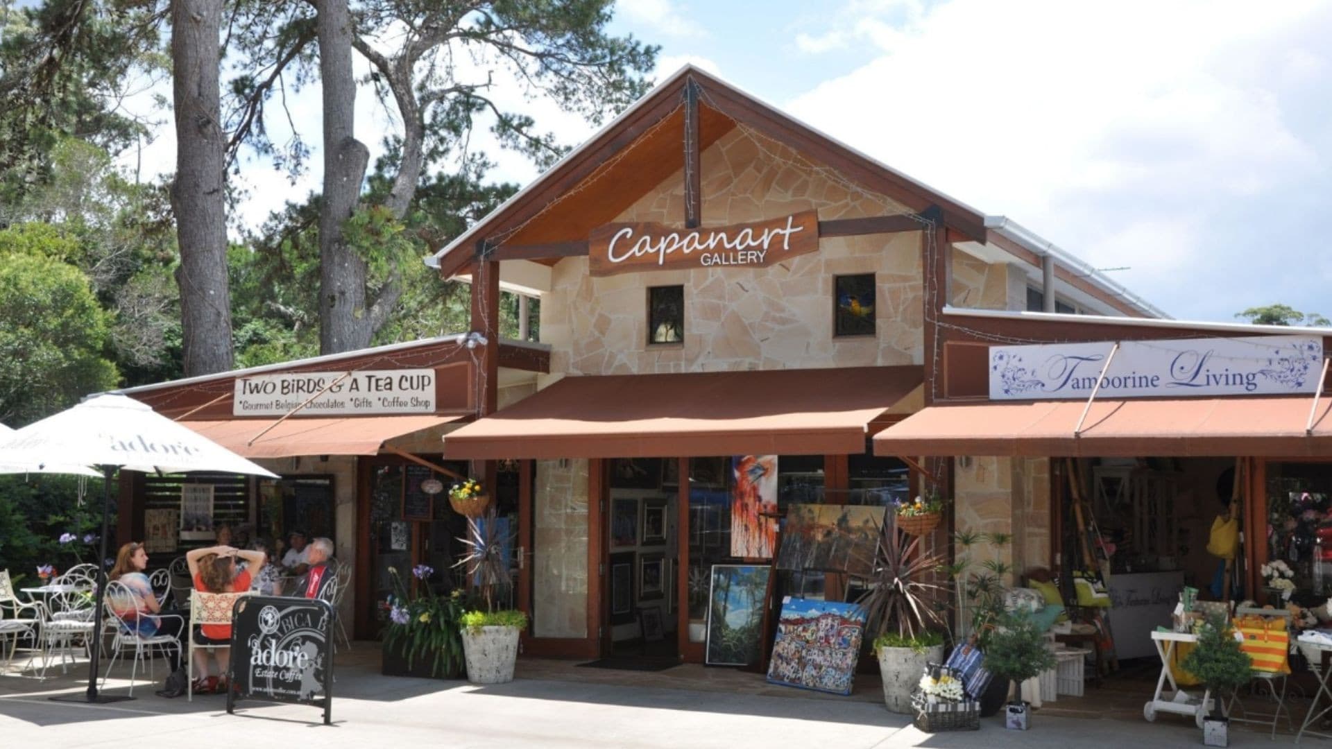 Kangaroos and Koalas Tour with Morning Tea from Gold Coast - სურათი 8