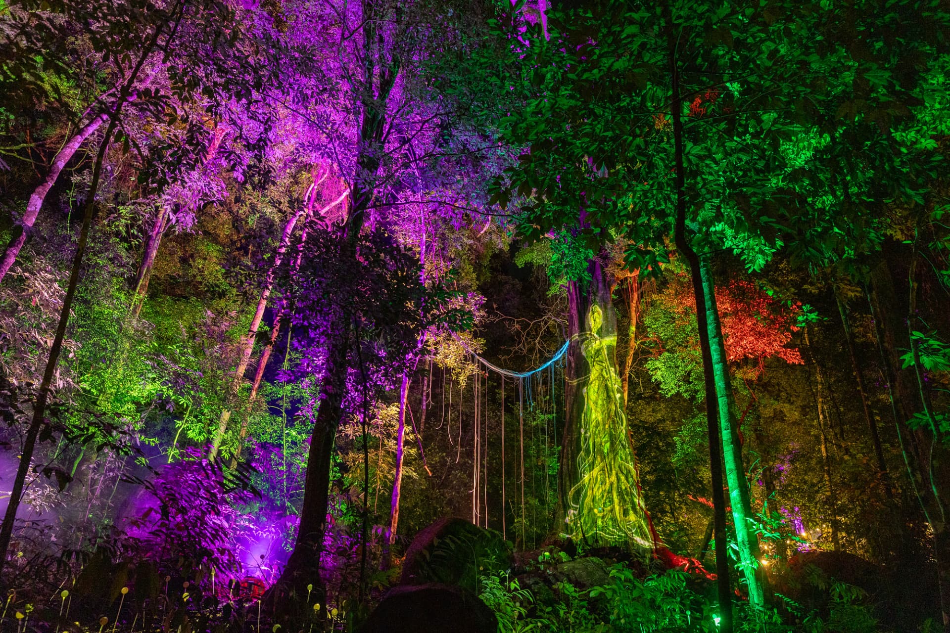 Dream Forest Langkawi - სურათი 3