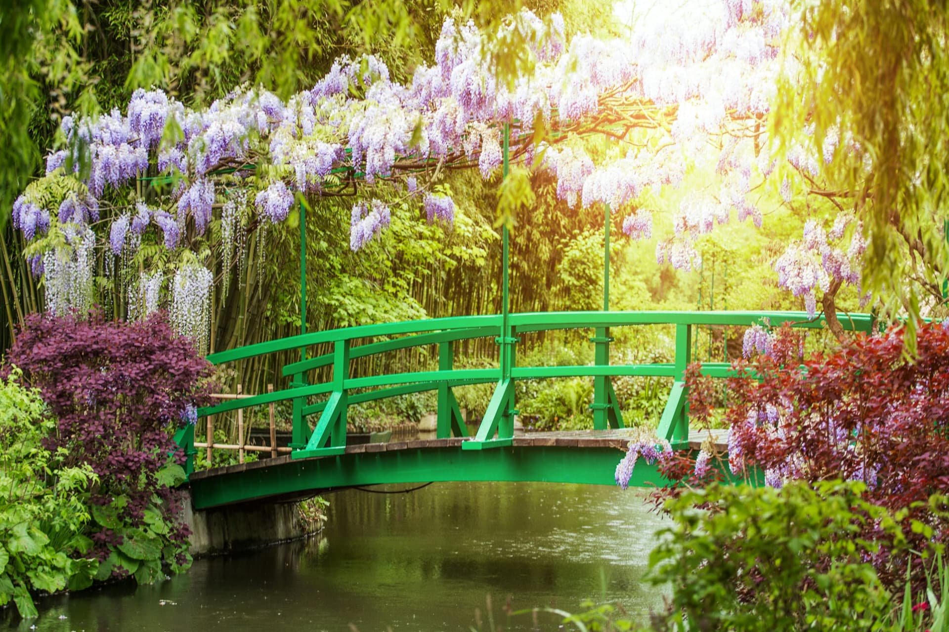 Giverny: Impressionist Day Trip from Paris with Audio Guide - სურათი 11