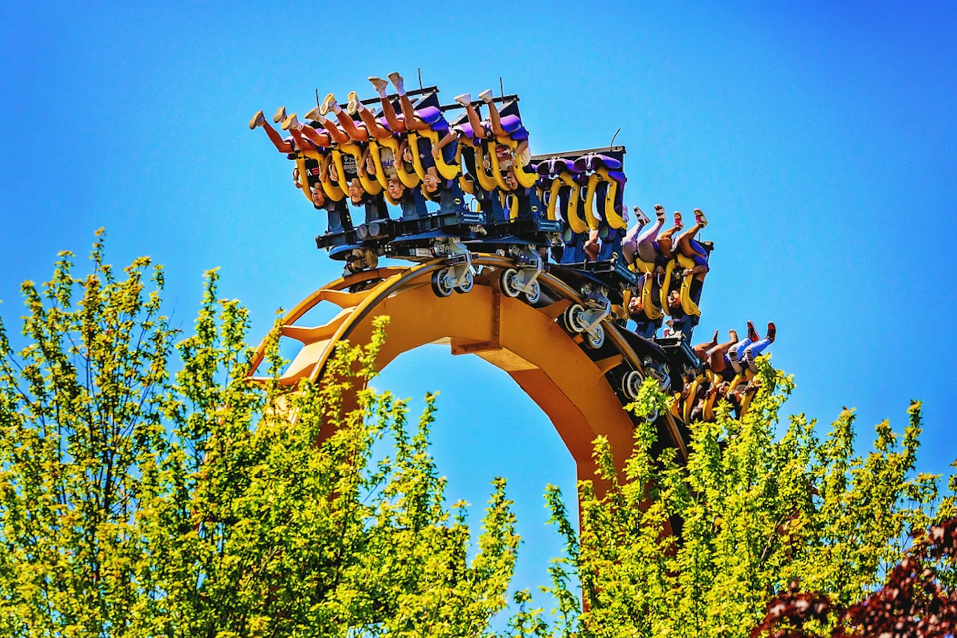 Six Flags Great America Ticket - სურათი 3