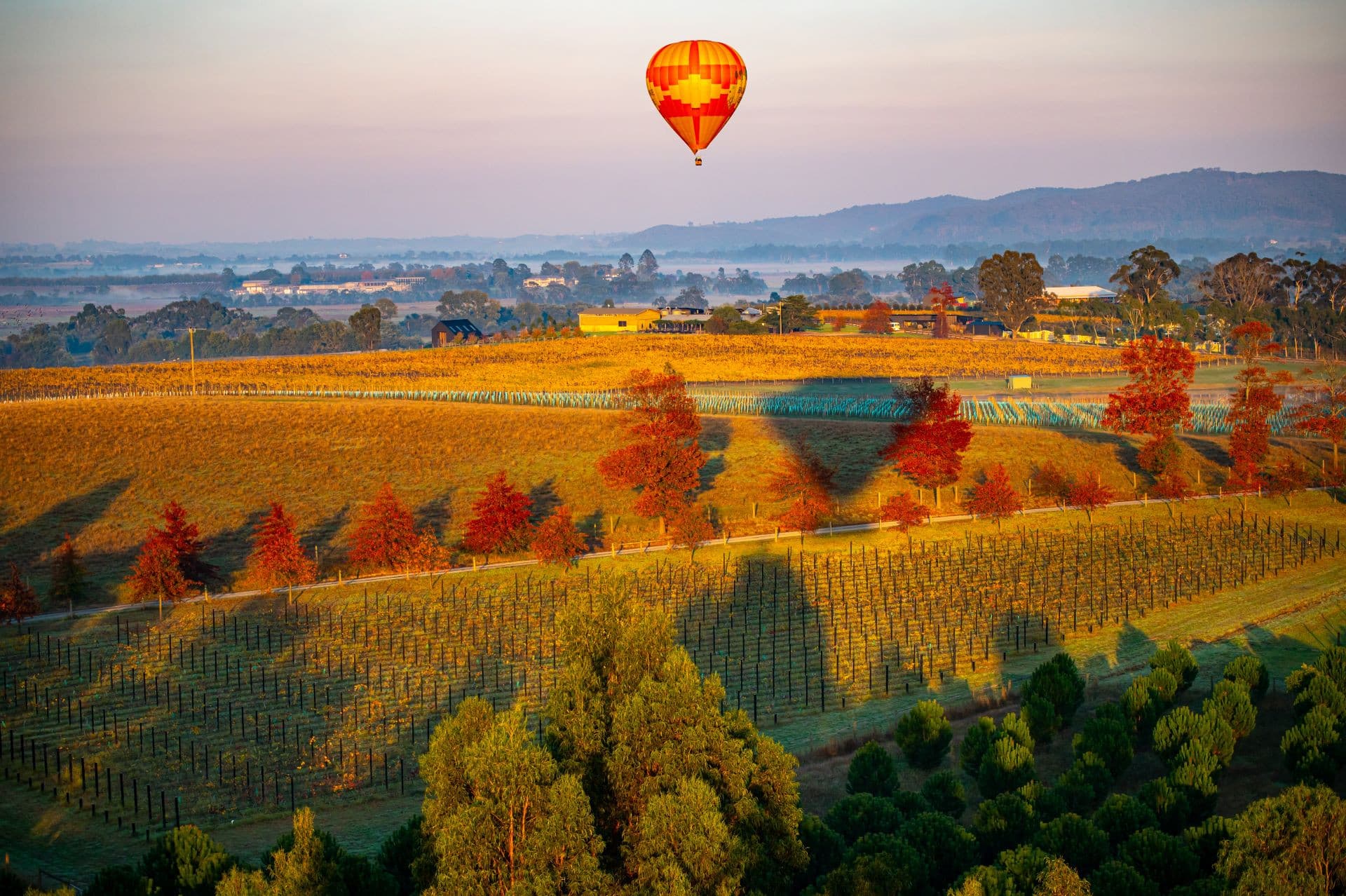 Sunrise Hot Air Balloon Flight over Yarra Valley with Photos - სურათი 2