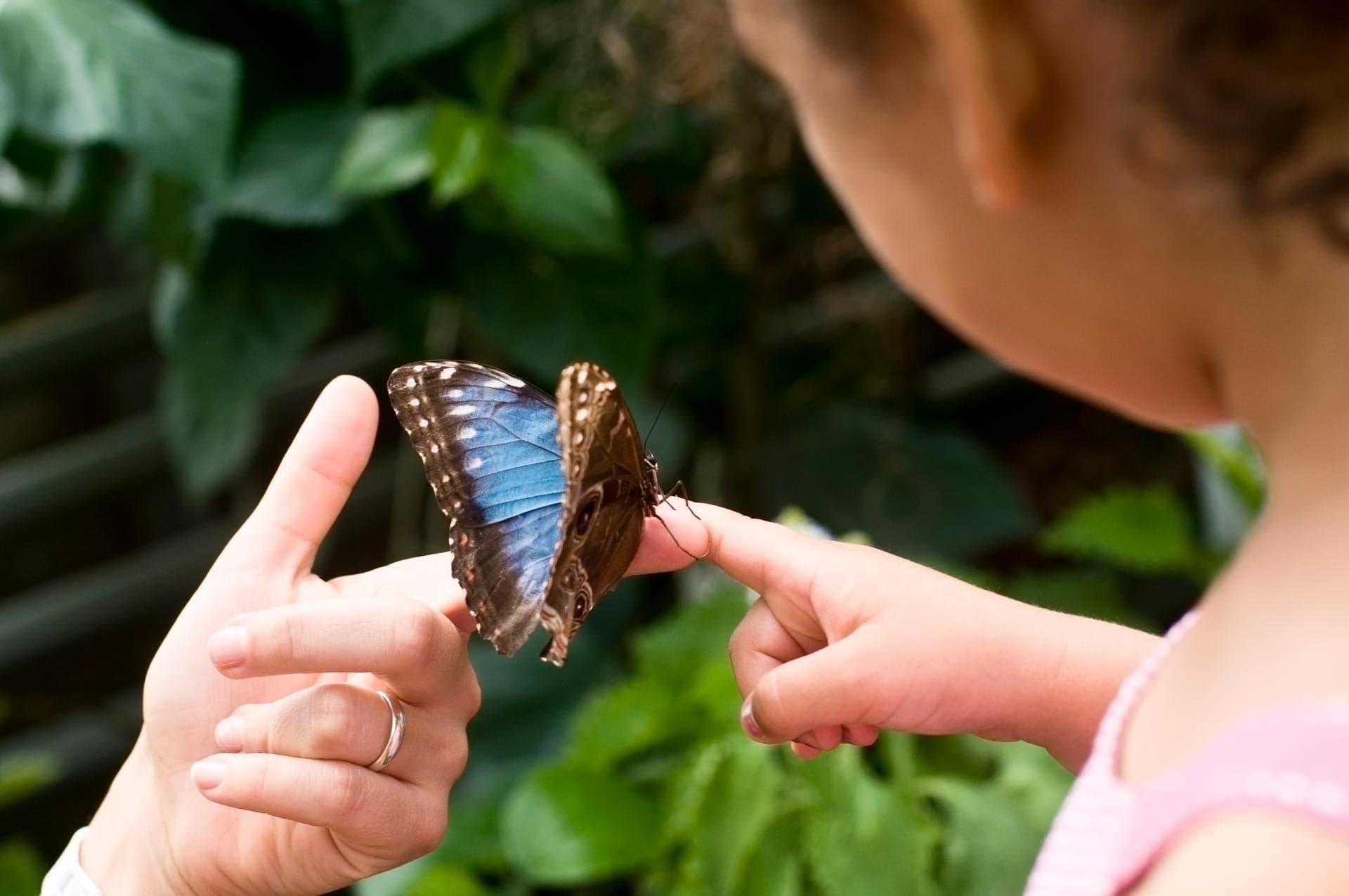 Science Centre Singapore, Omni Theatre, and KidsSTOP Singapore Ticket - სურათი 4