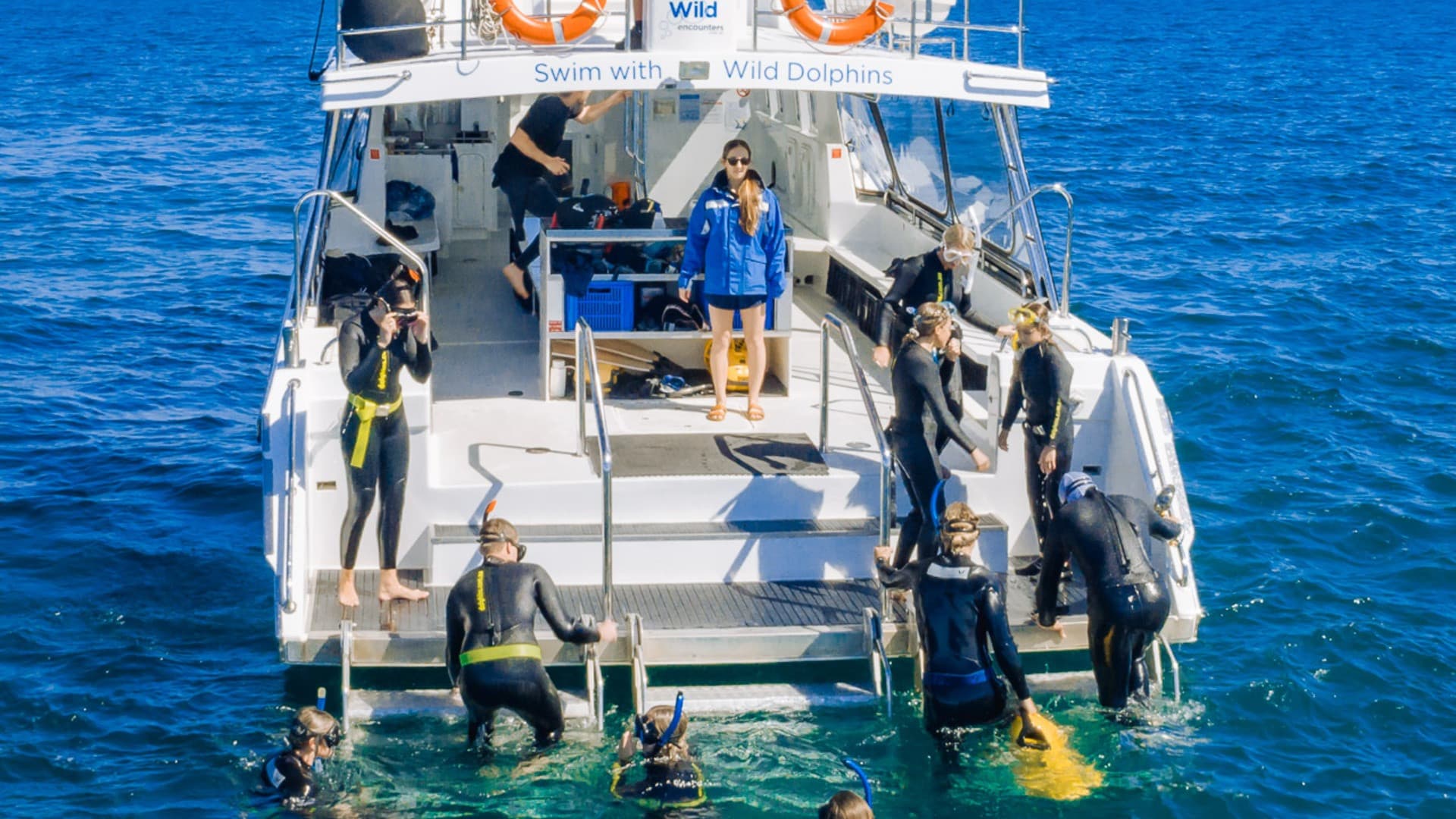Swim with Wild Dolphins Experience at Rockingham - სურათი 3