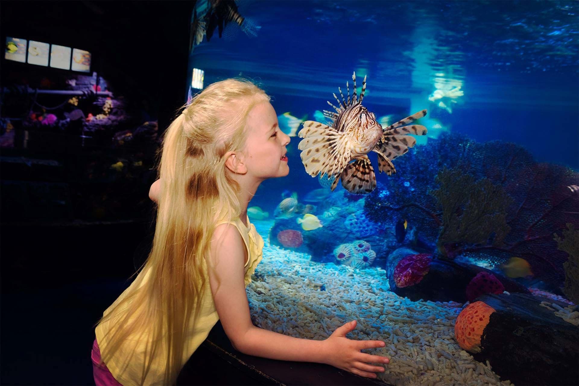SEA LIFE London Aquarium Ticket - სურათი 15